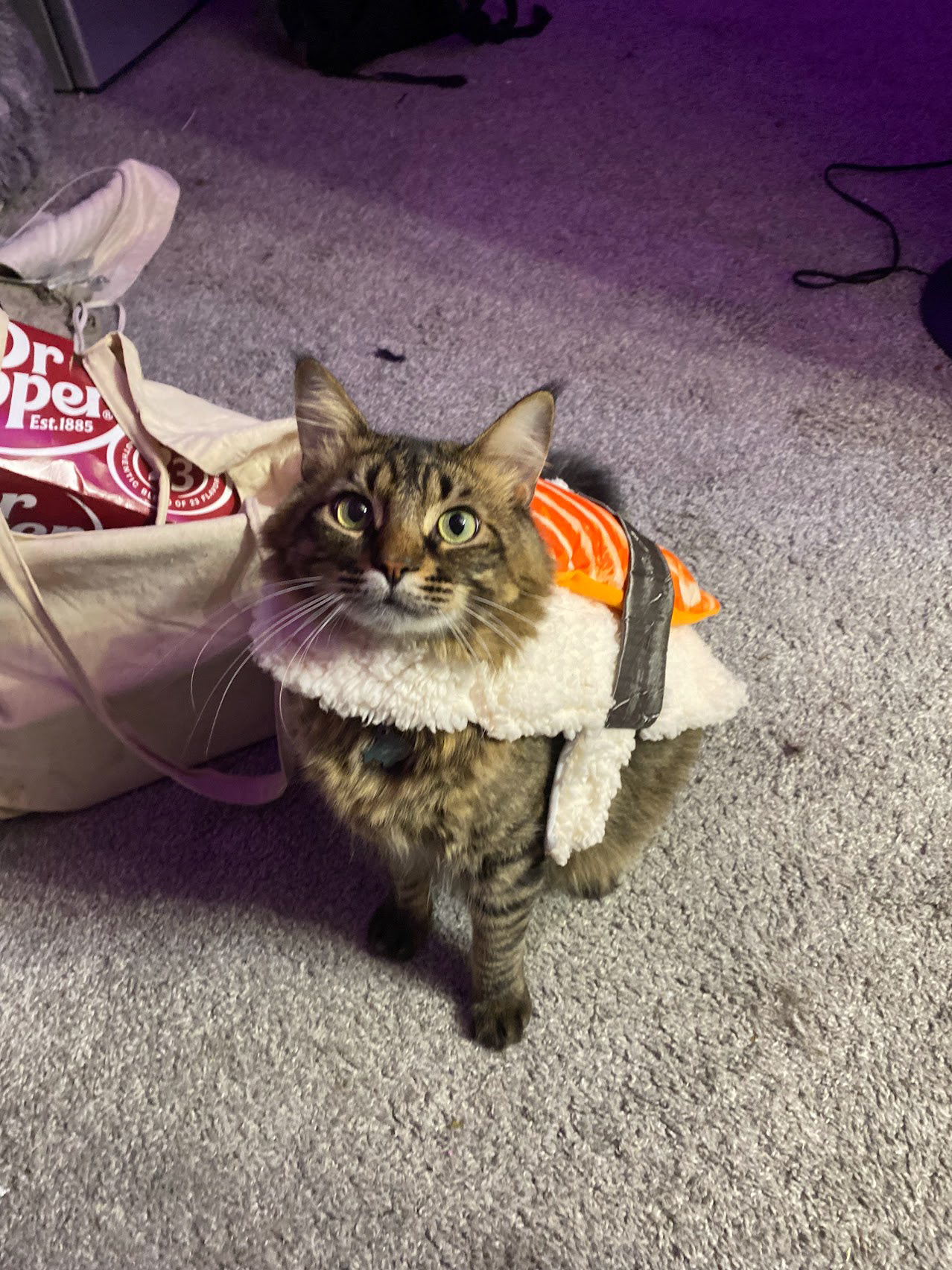Hoagie in his Halloween Costume