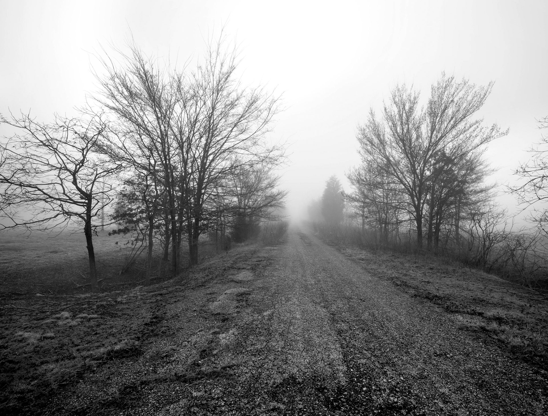 Lost Lane