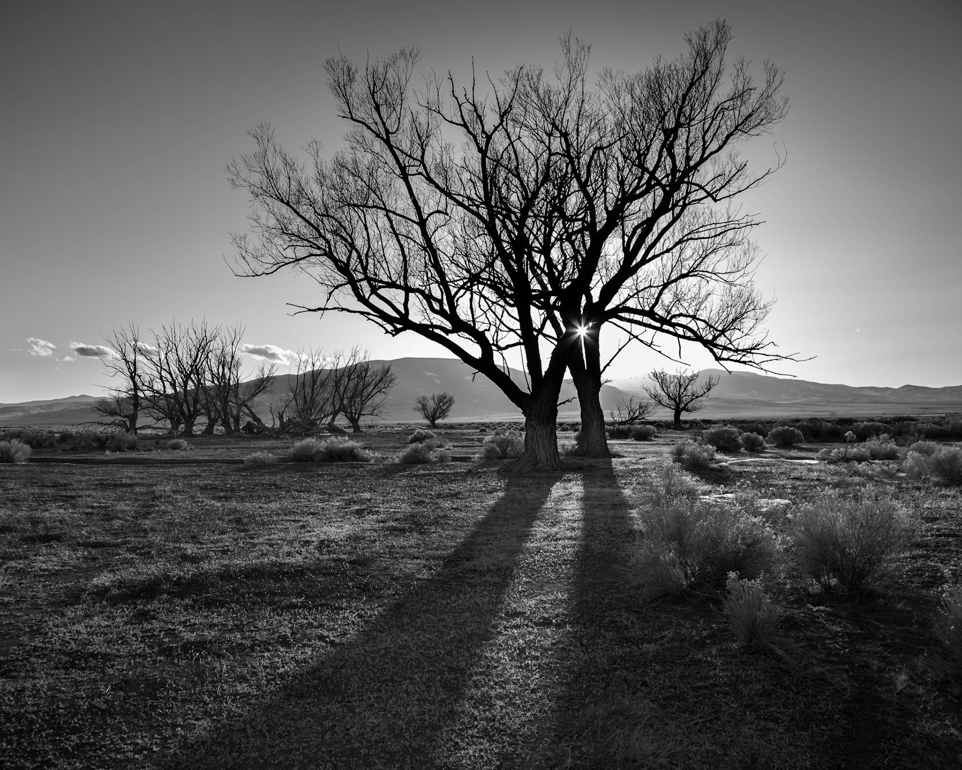 Sun Sliver