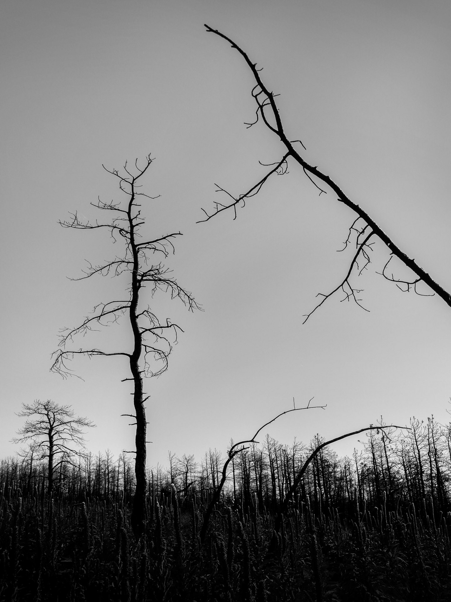 Reaching