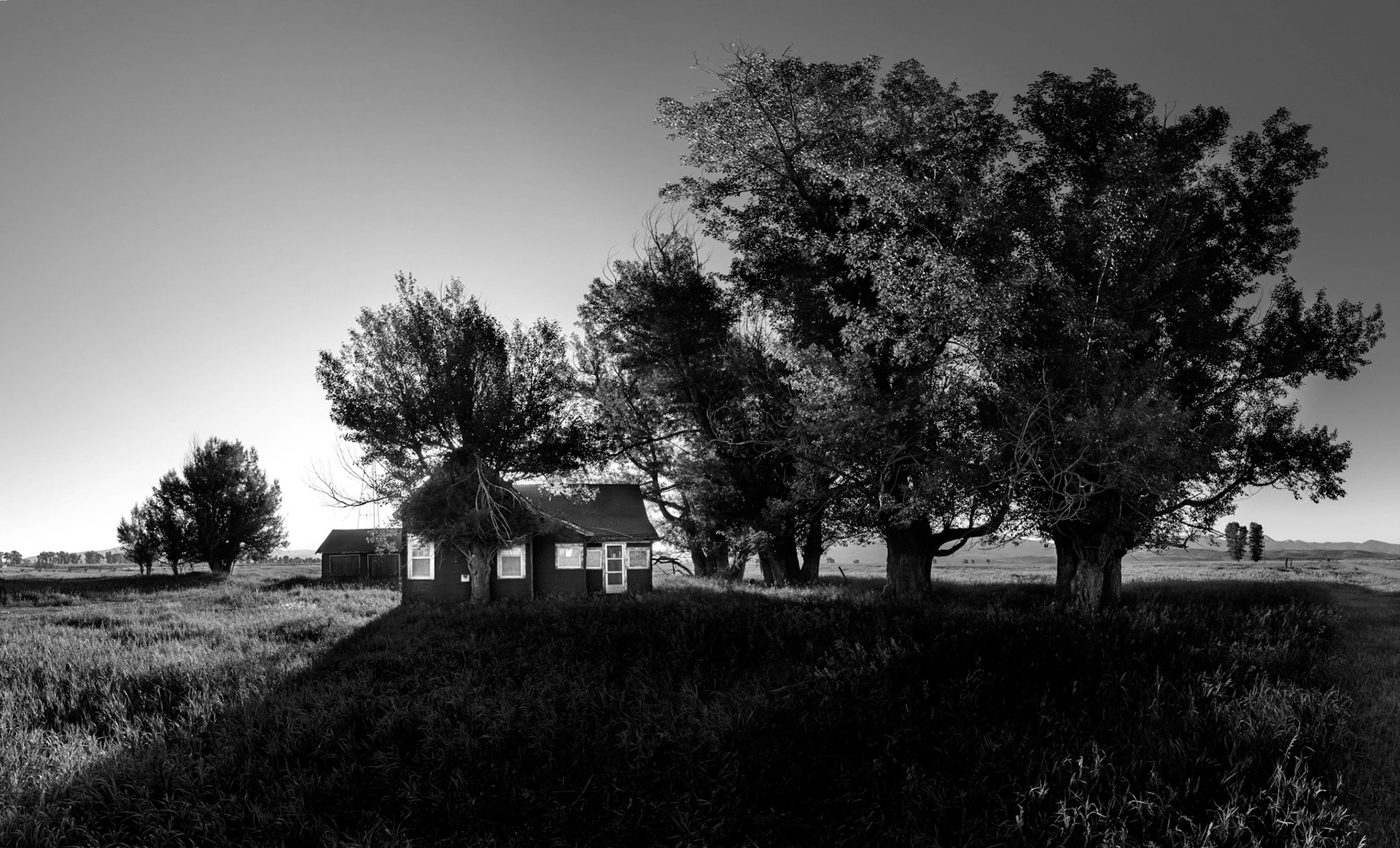 Tree House