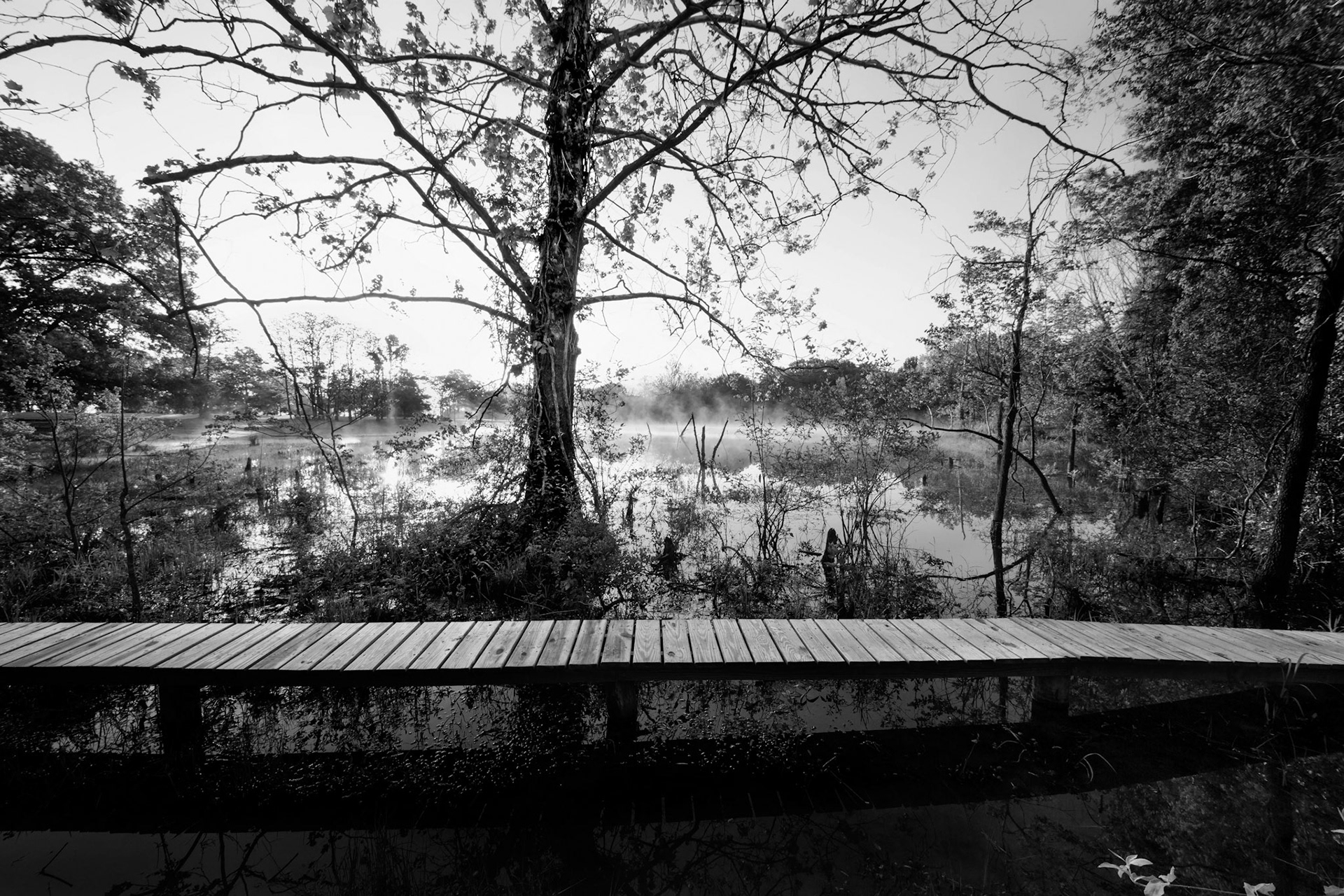 Water Walk