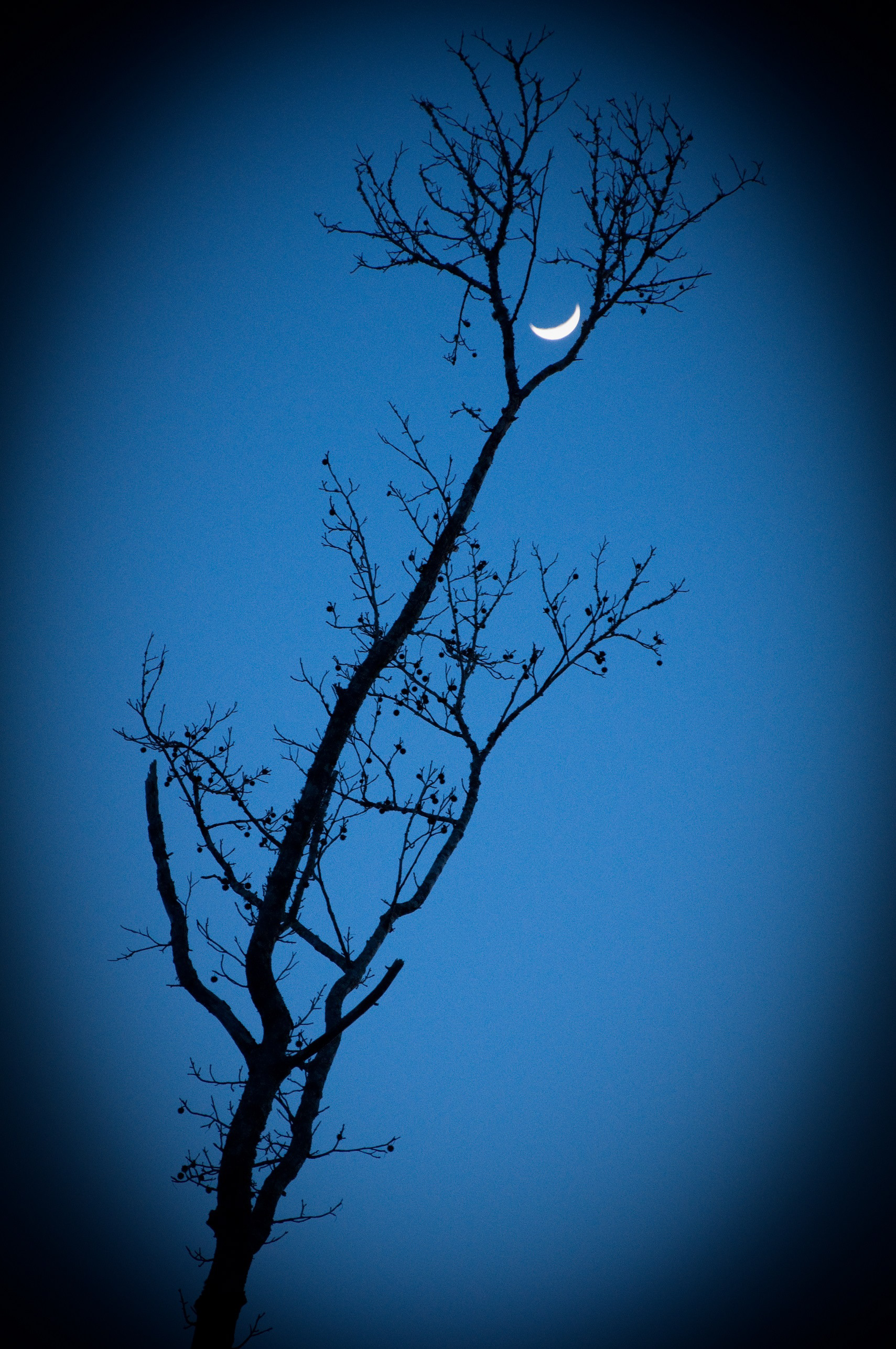 Lune Trou de la Serrure (Keyhole Moon)