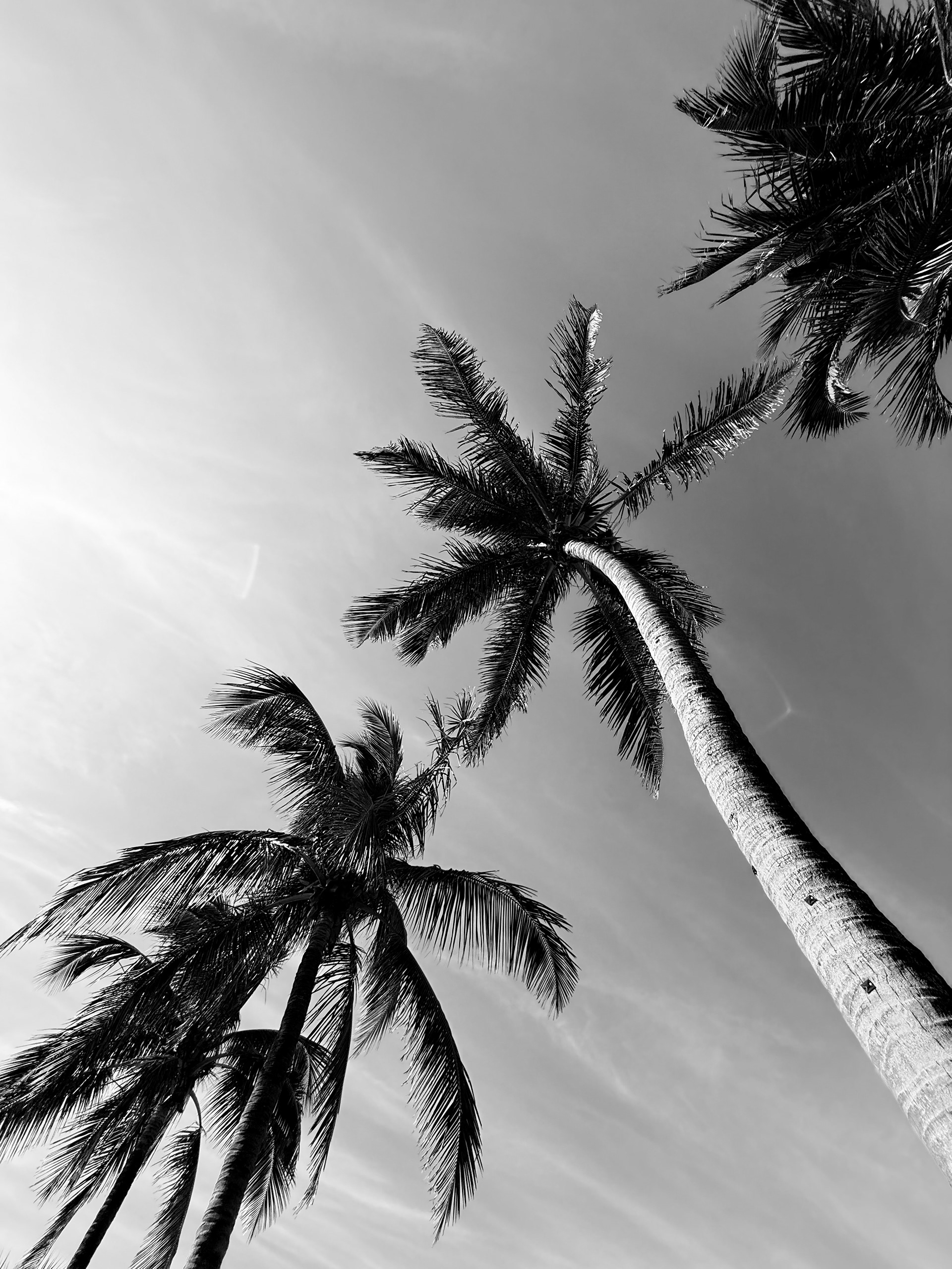 13mm lens - f/2.2 - ISO50 - shutter speed 1/1360s