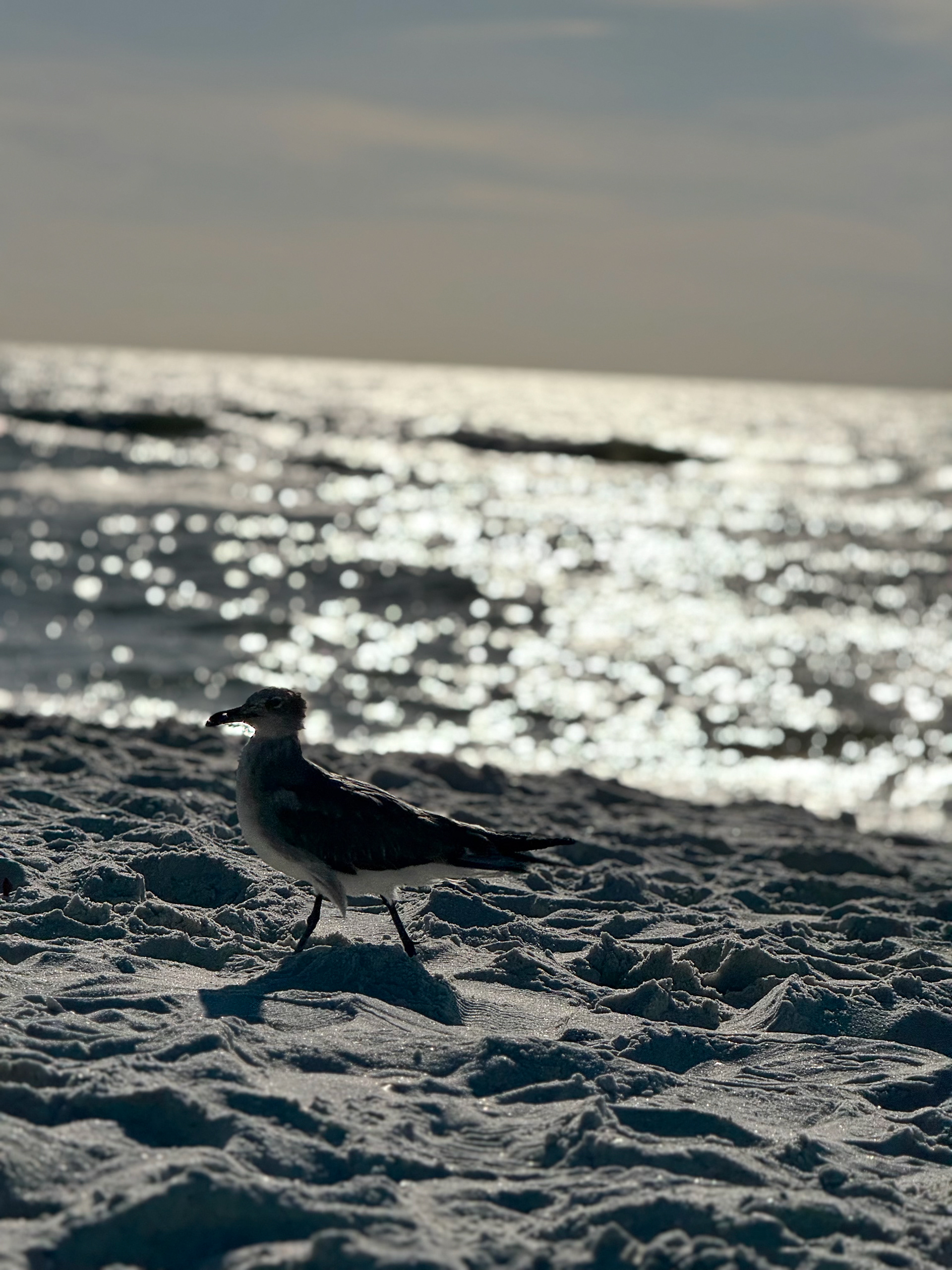 120mm lens - f/2.8 - ISO 32 - shutter speed 1/13158s