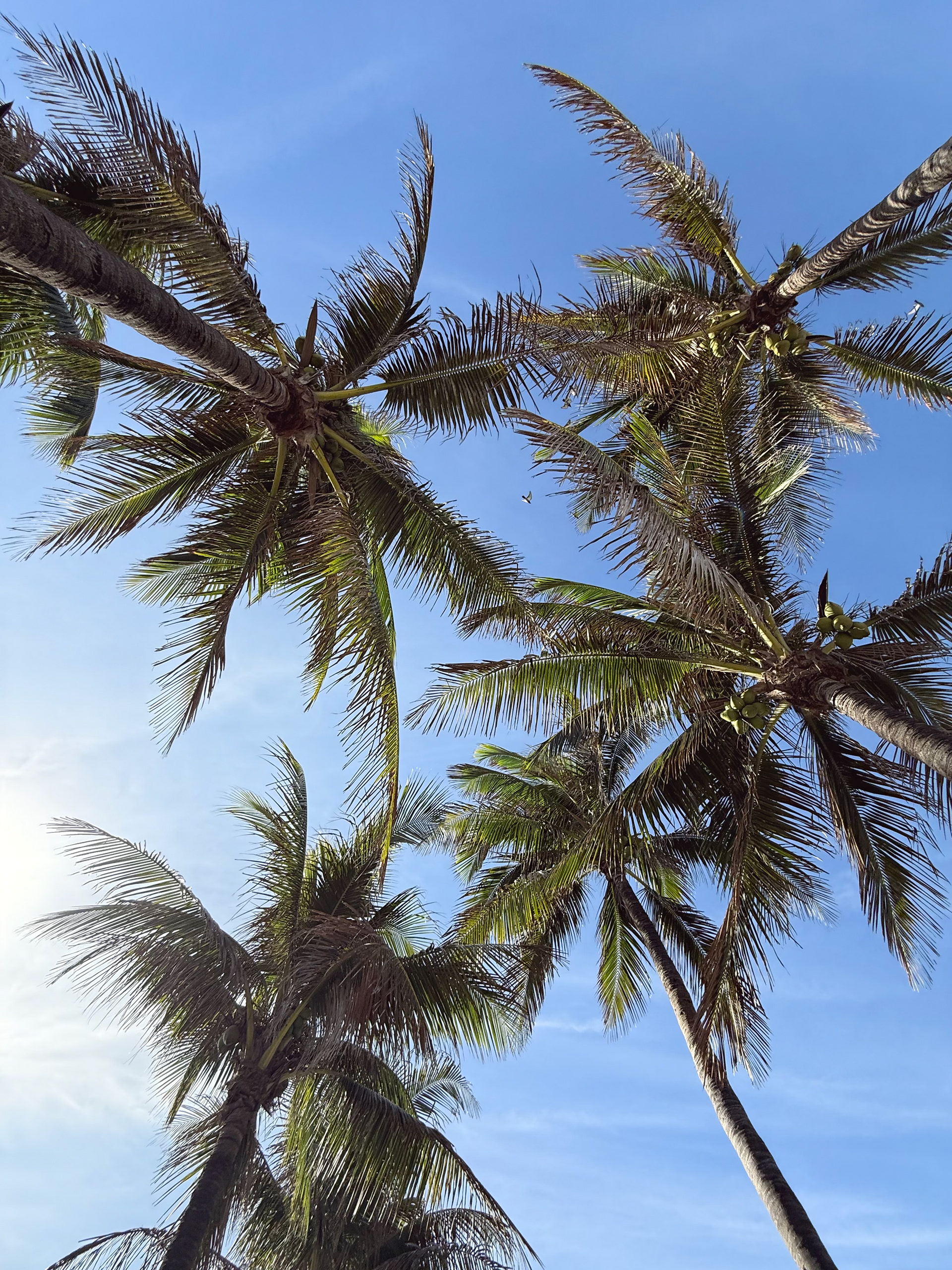 13mm lens - f/2.2 - ISO50 - shutter speed 1/1145s