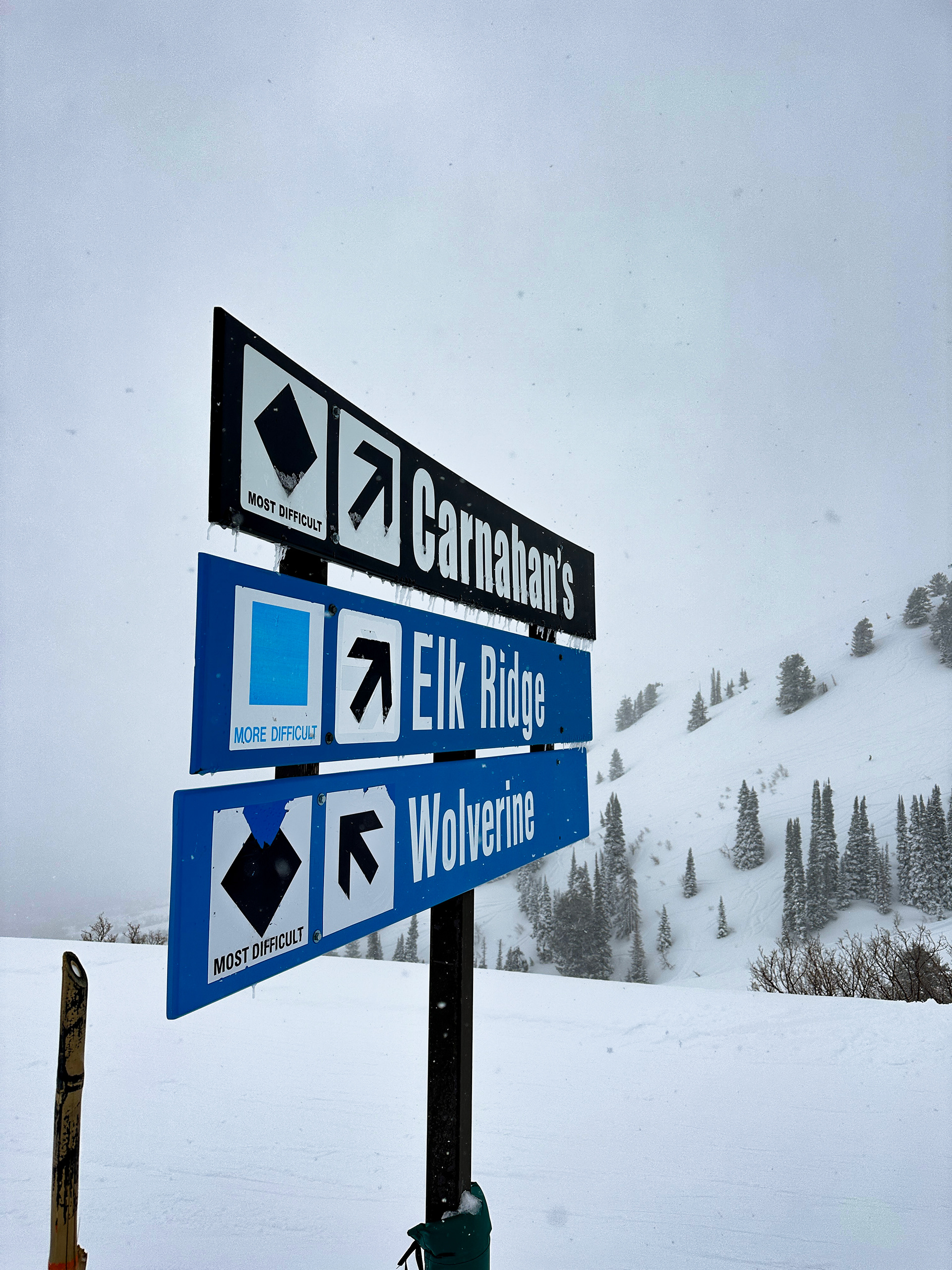 6.86mm lens -  f/1.8 - ISO64 - shutter speed 1/19000