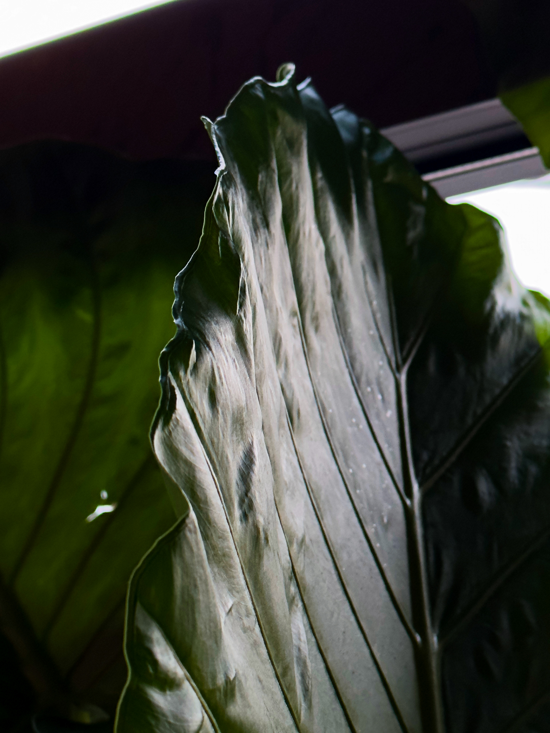 24mm lens -  f/1.78 - ISO200 - shutter speed 1/60