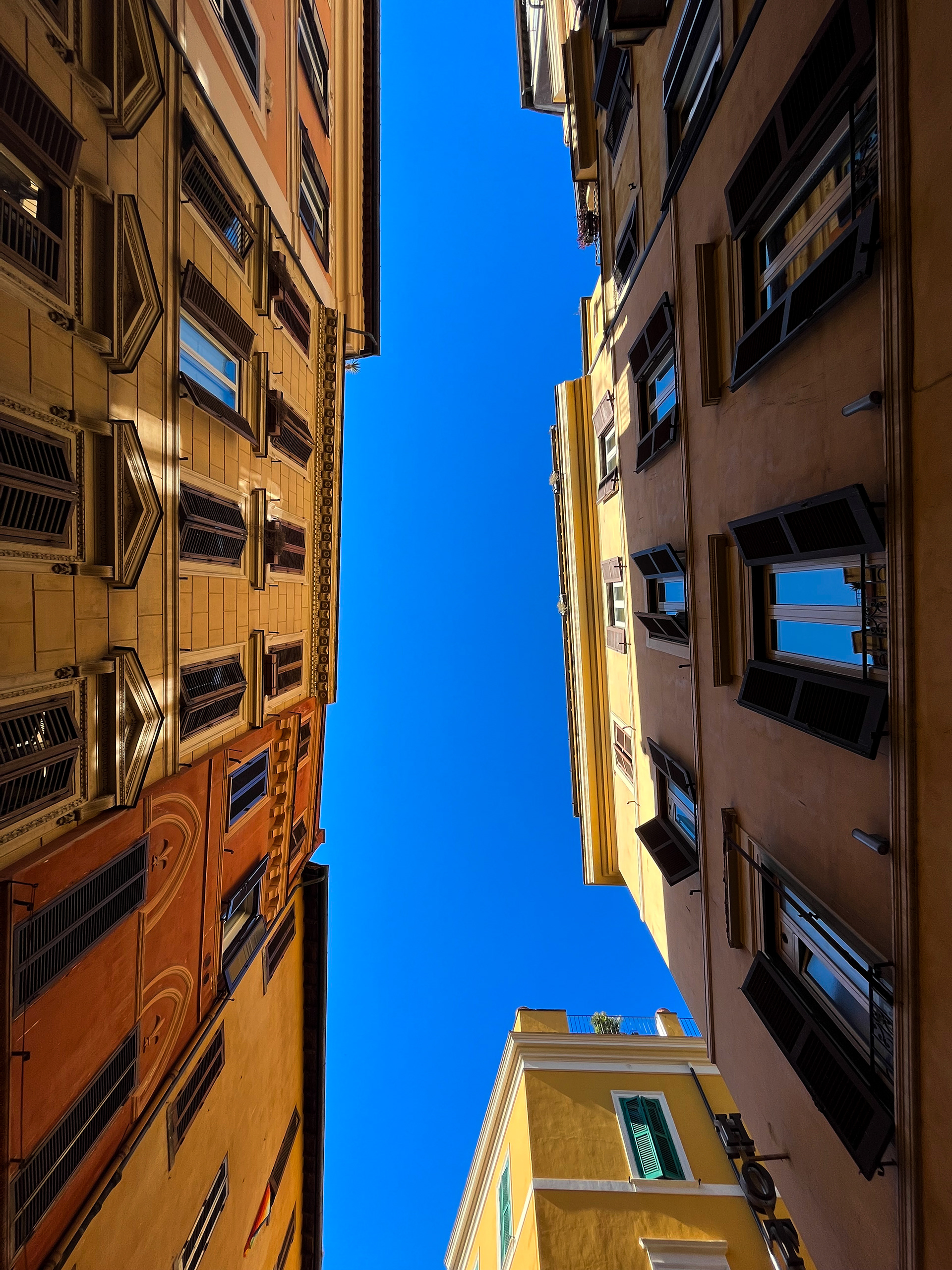 1.54mm lens -  f/2.4 - ISO32 - shutter speed 1/550