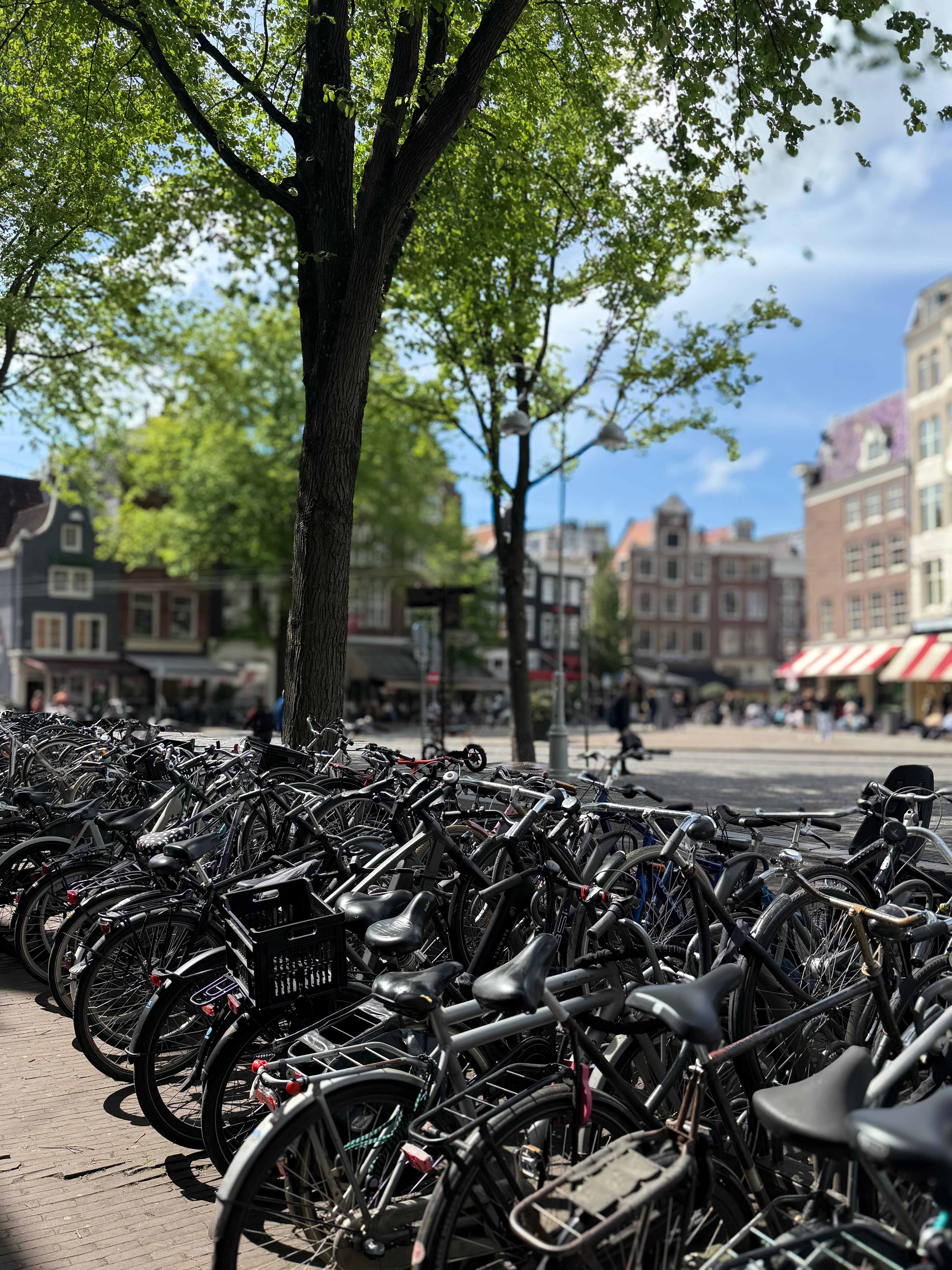 6.76mm lens -  f/1.8 - ISO80  - shutter speed 1/2500