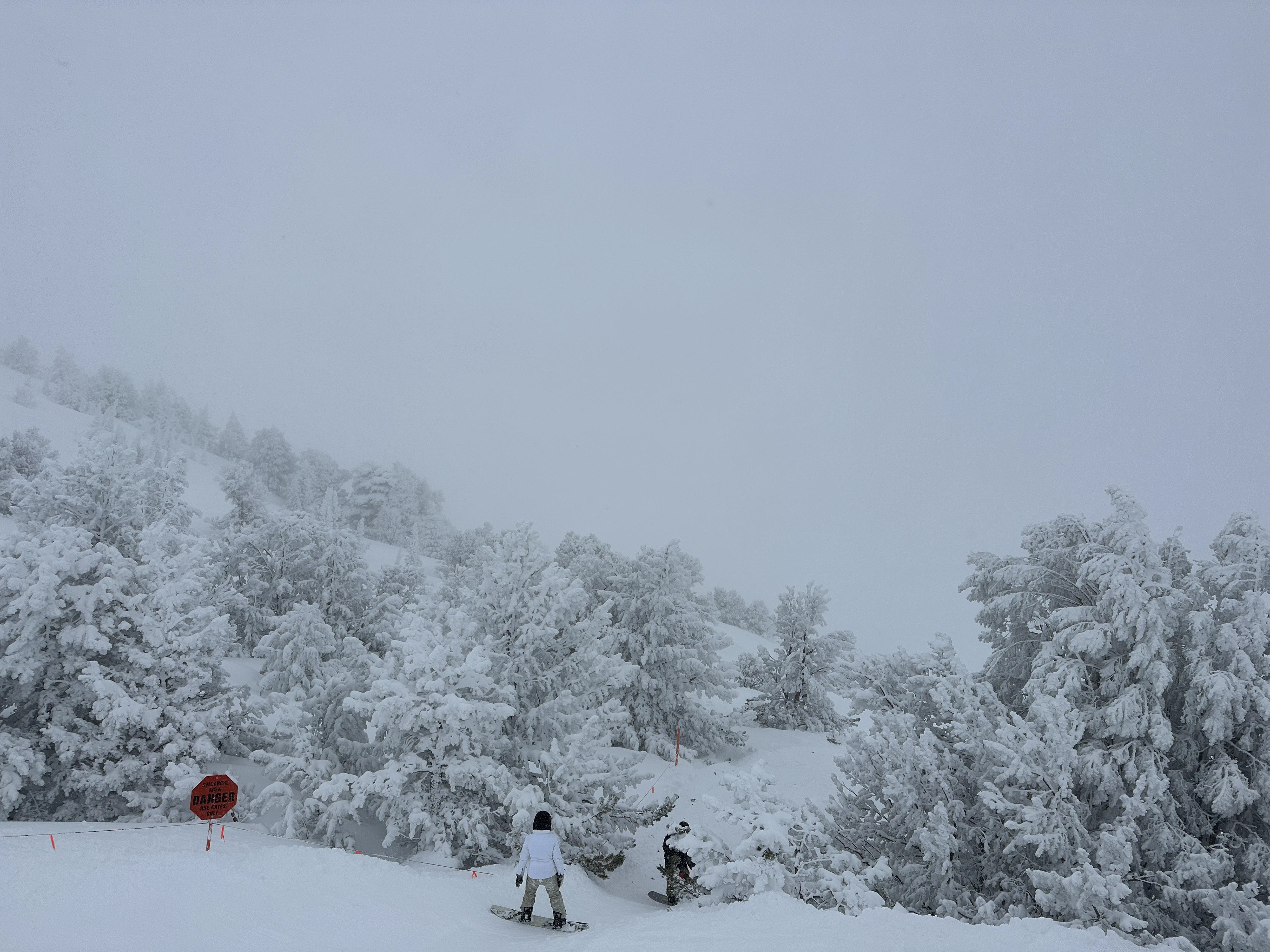 6.86mm lens -  f/1.8 - ISO64 - shutter speed 1/23000