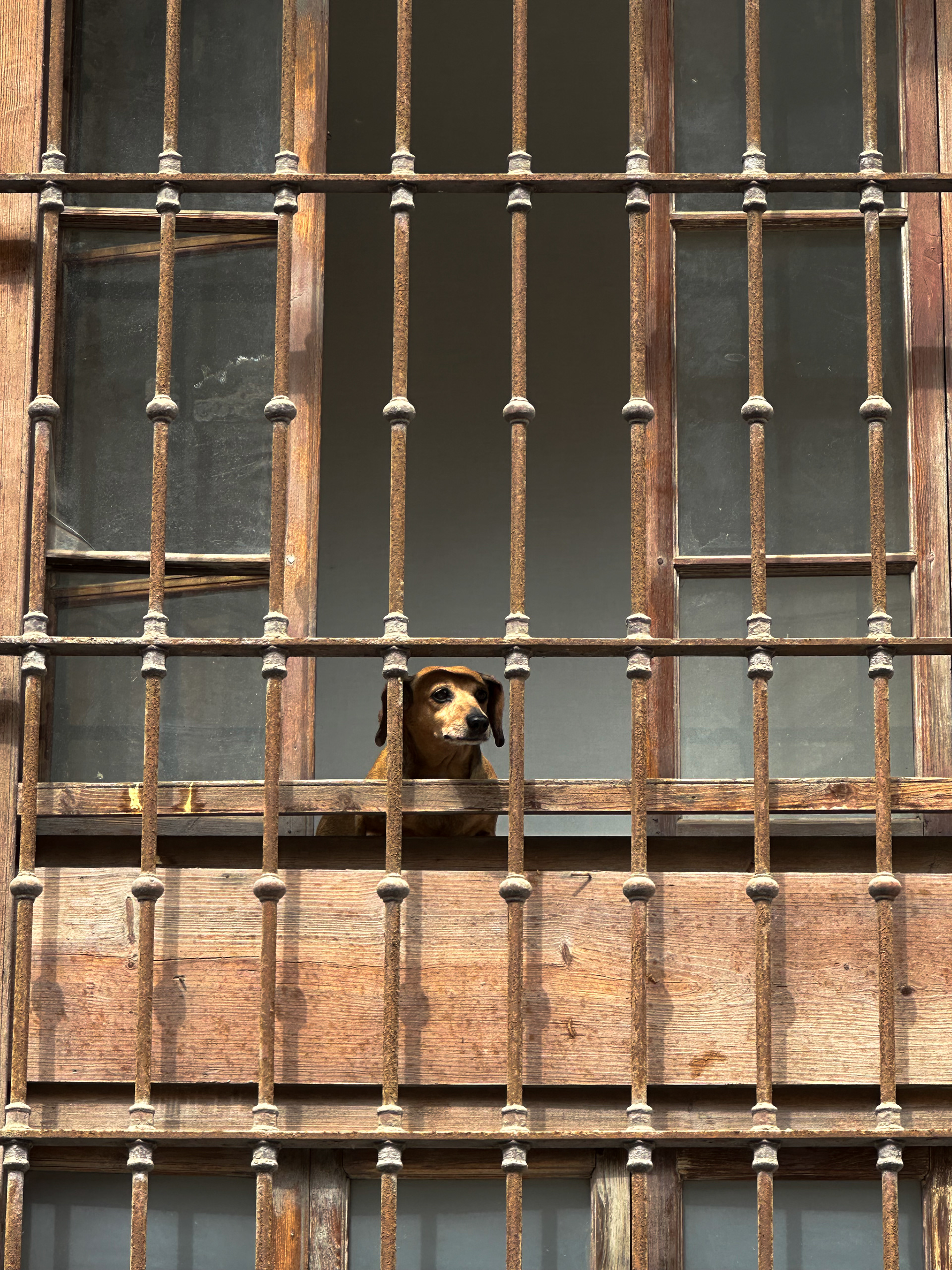 9mm lens -  f/2.8 - ISO32 - shutter speed 1/160