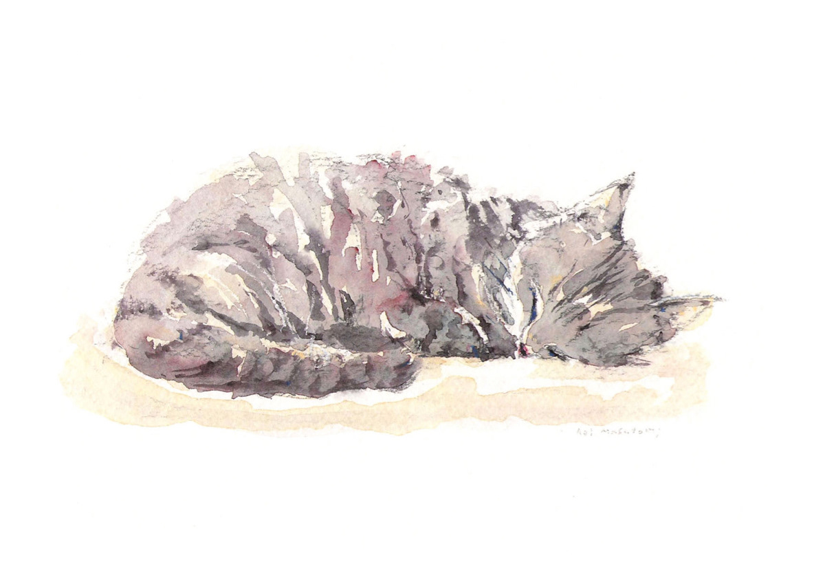 ねこ