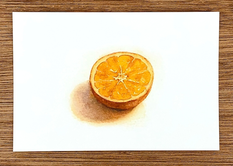 半分に切ったオレンジ Orange Cut In Half