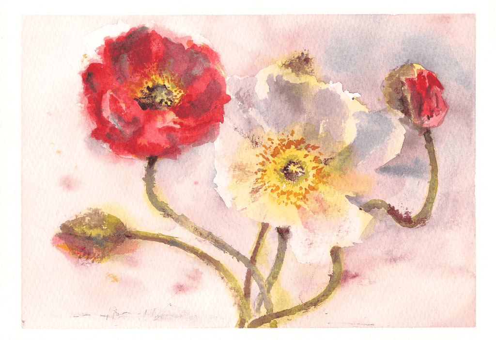 Poppy Flowers ポピーの花 (22.7 x 15.8 cm)