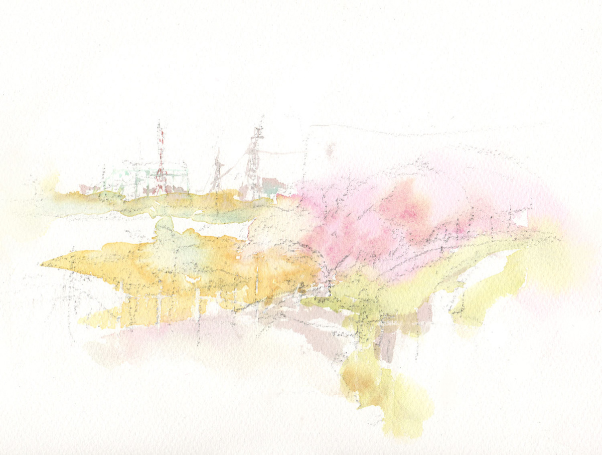 川べりの桜