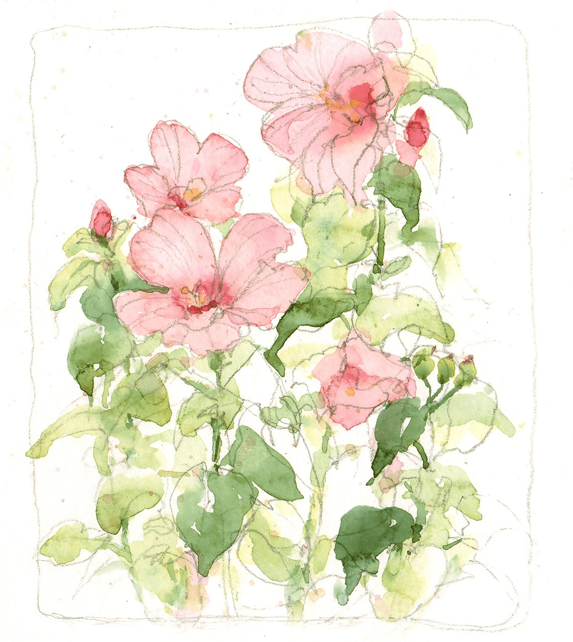 夏の花 Summer Flowers 13 x 15.5 cm