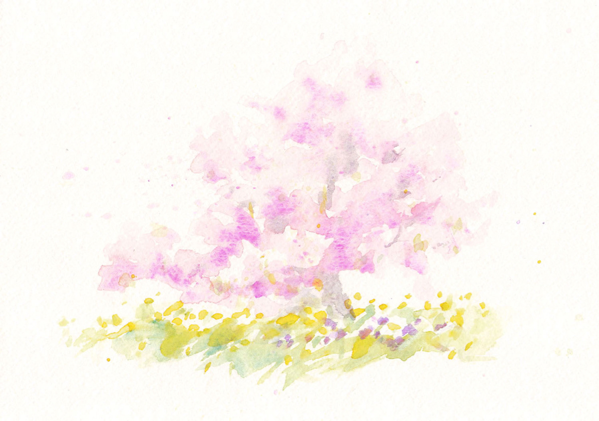 さくら