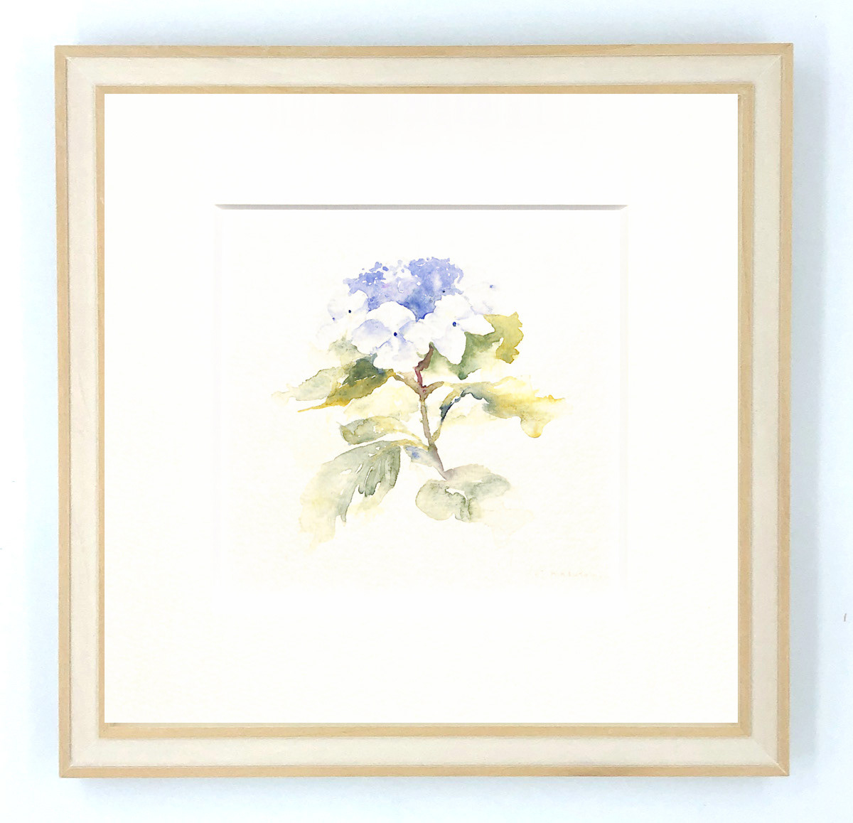 16 がくあじさい 20角 (200 x 200) ¥12,000