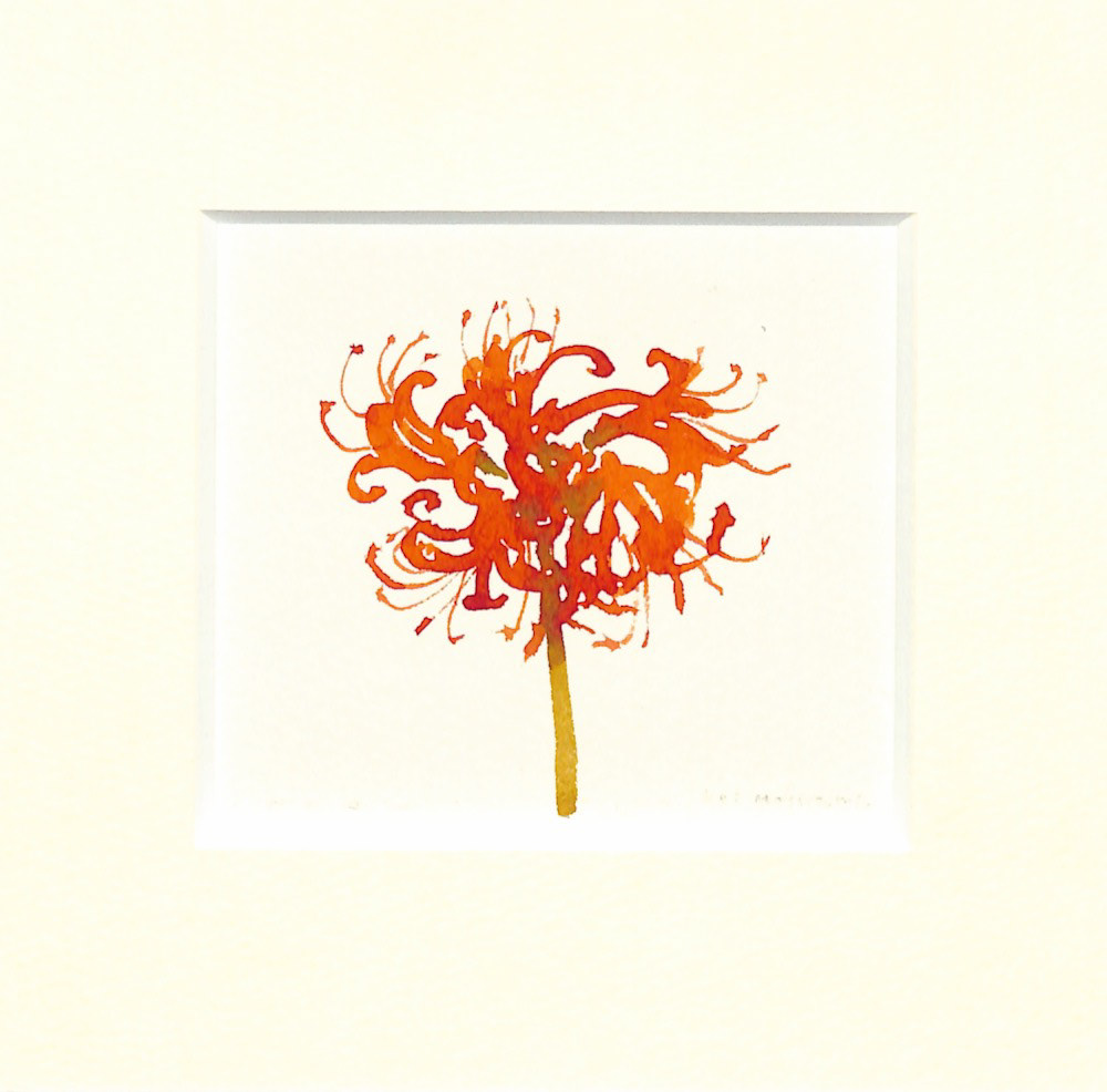 48 彼岸花 15角 (150x150) ¥6,000