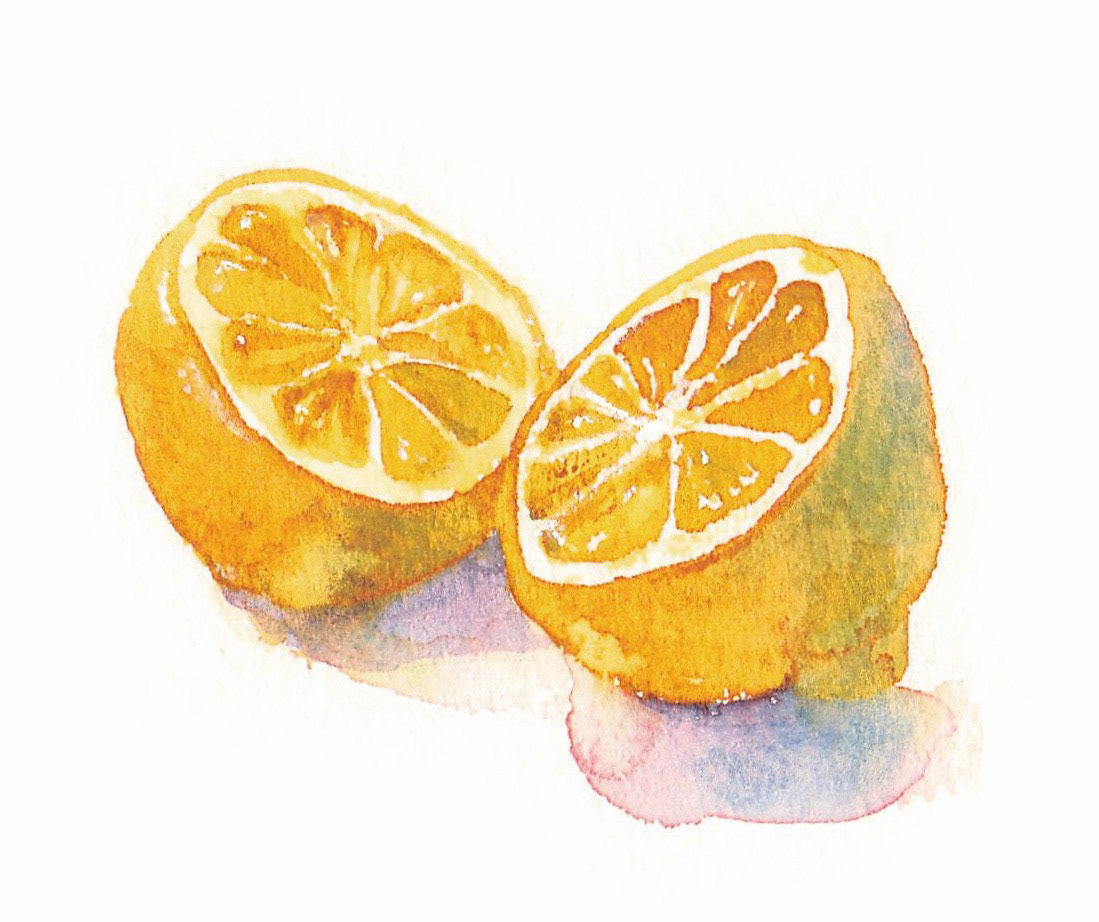 レモン Lemon (9.5 x 7.5 cm)