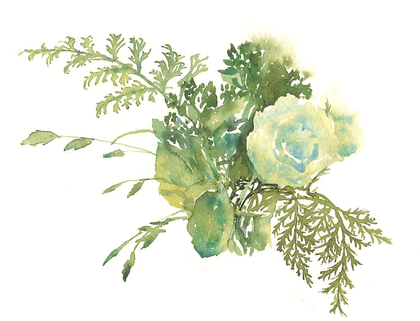 リシアンサスの花