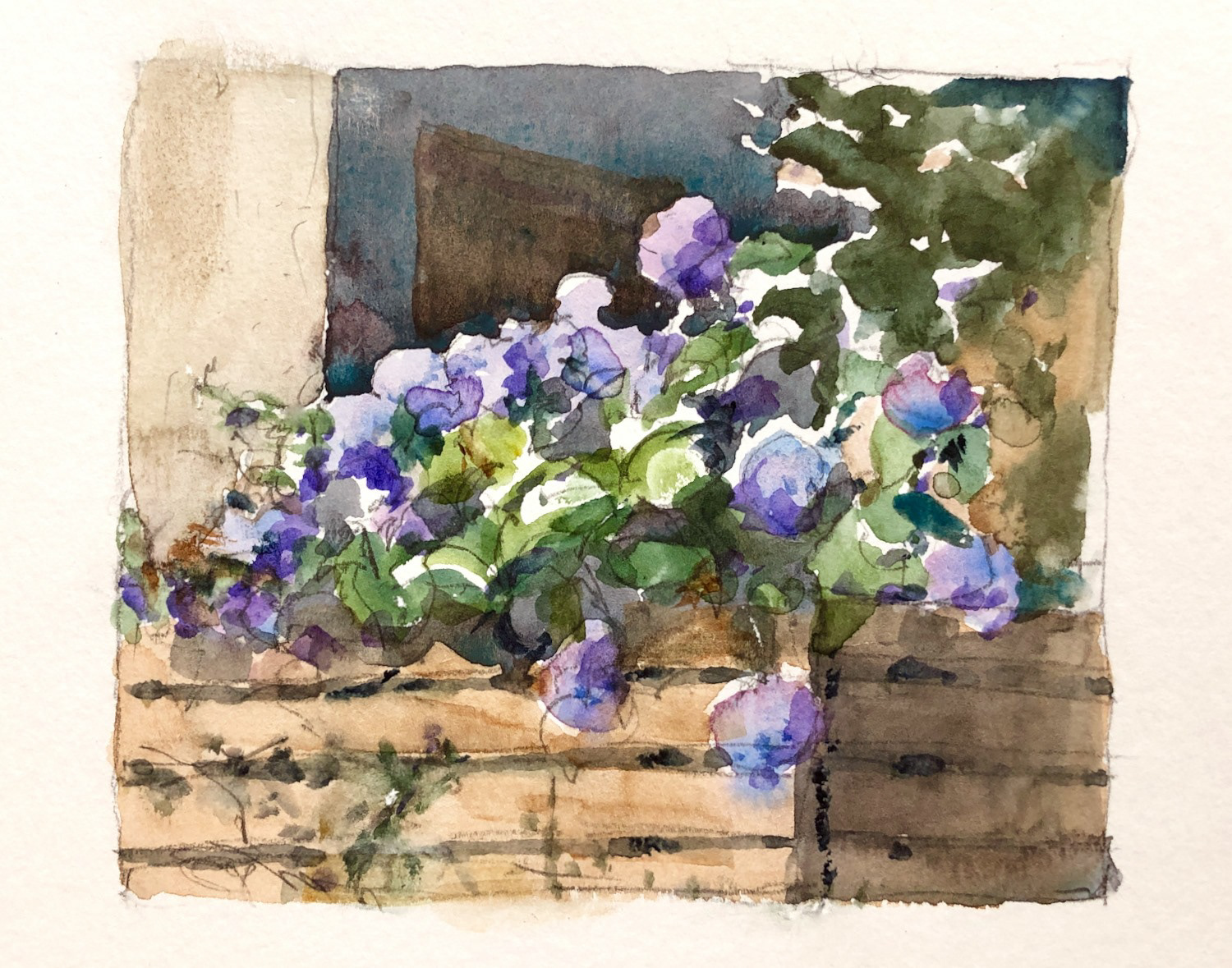 あじさいの花 Hydrangea 12 x 10 cm