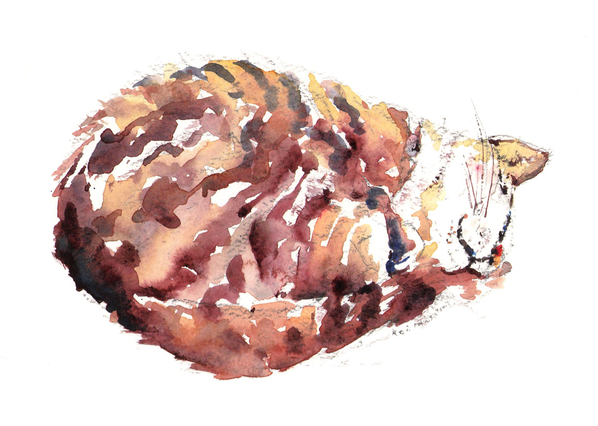 ねこ