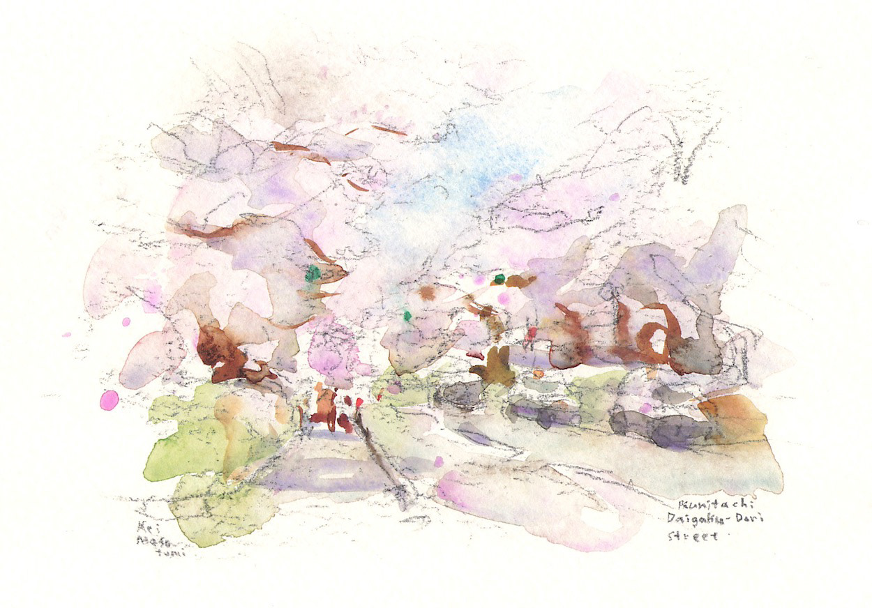 大学通りの桜