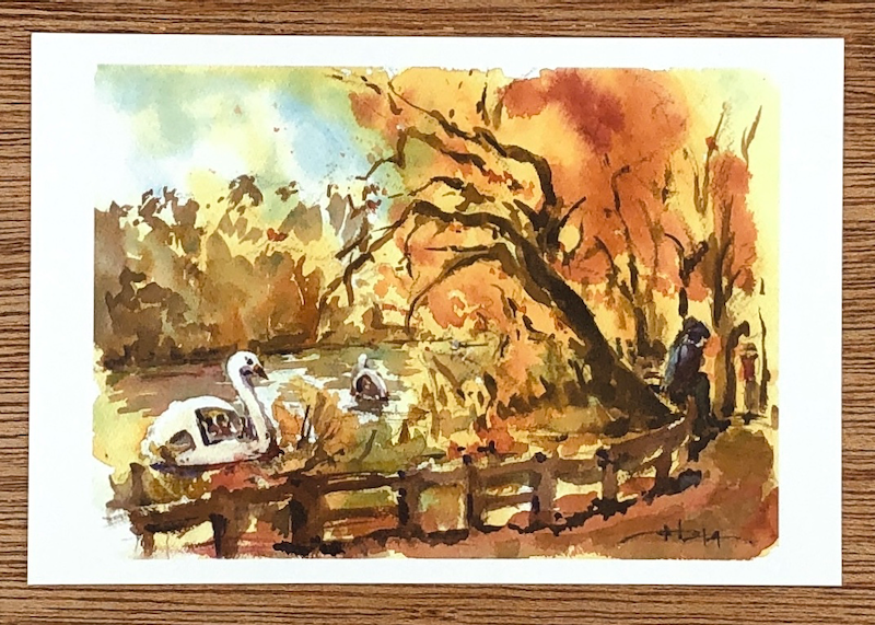 井の頭公園の秋 The Autumn in Inokashira Park