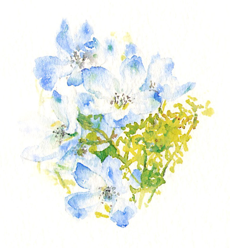 デルフィニウムの花