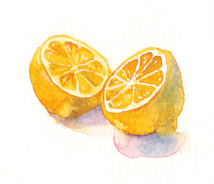レモン Lemon (9.5 x 7.5 cm)