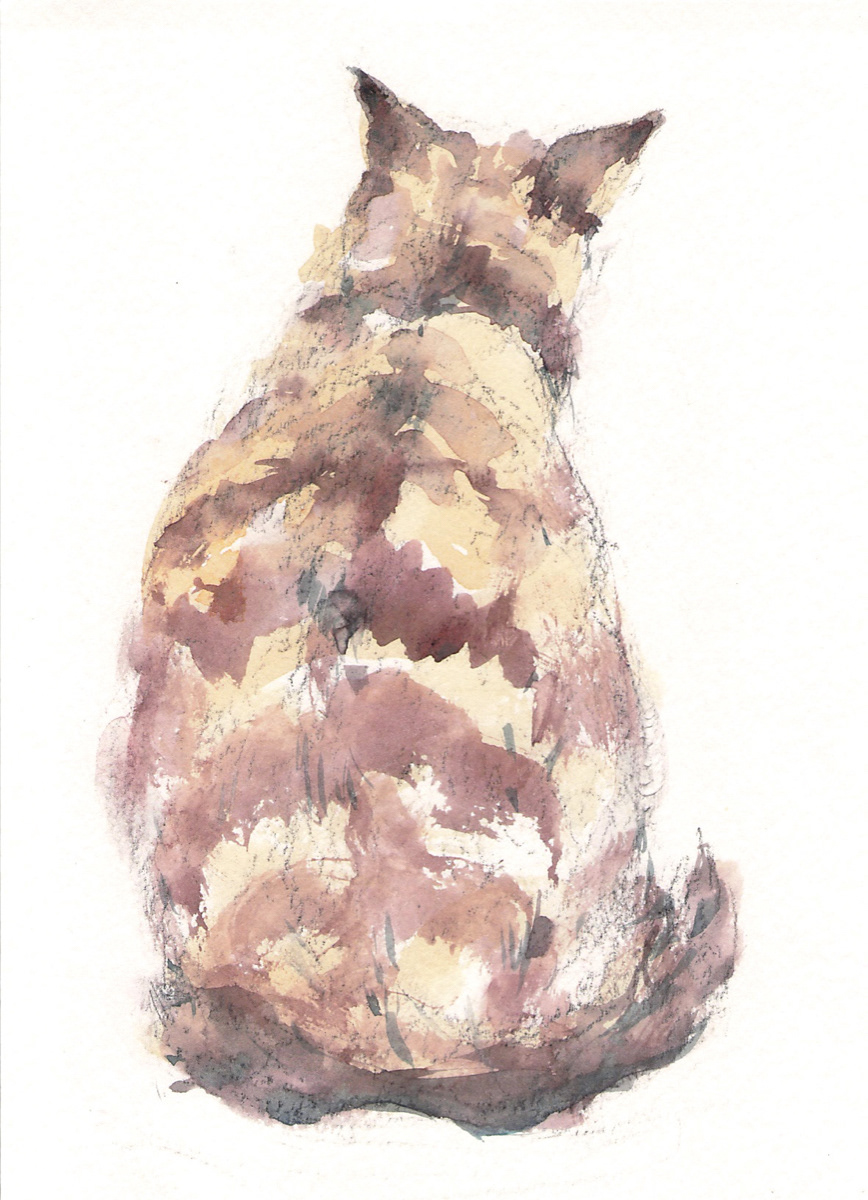 ねこ