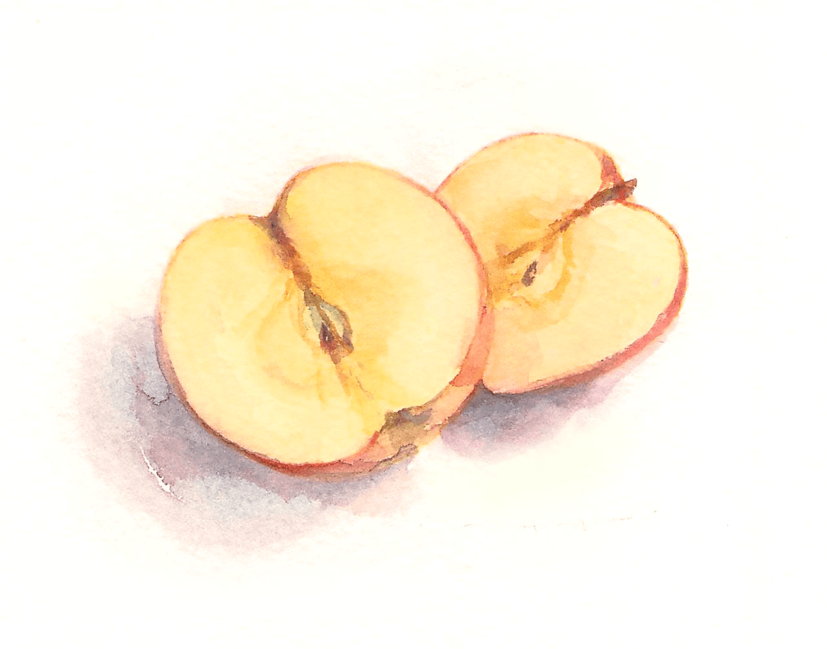 半分に切ったりんご Apple cut in half (10 x 7.5 cm)
