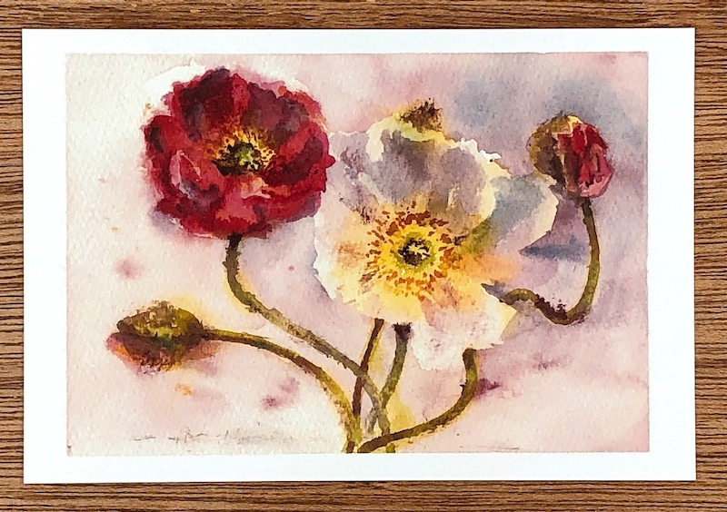 ポピーの花 Poppy Flowers