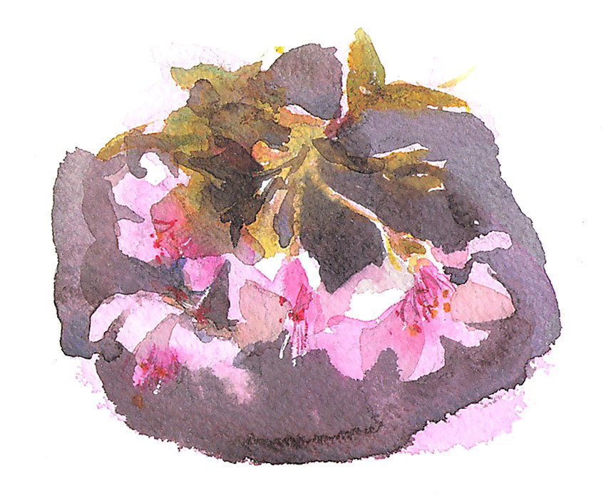 桜の束