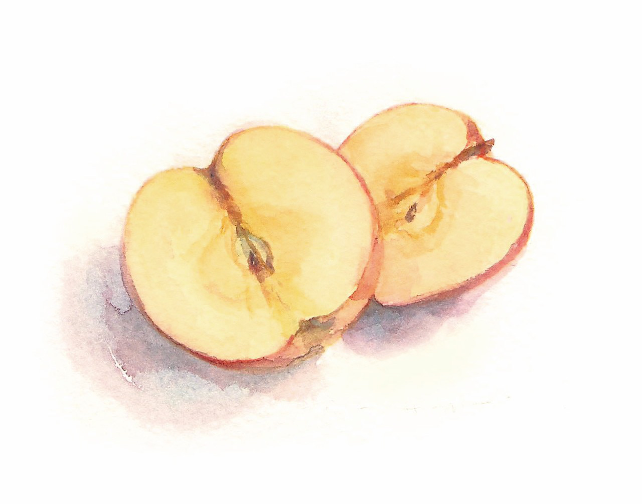 半分に切ったりんご Apple cut in half (10 x 7.5 cm)