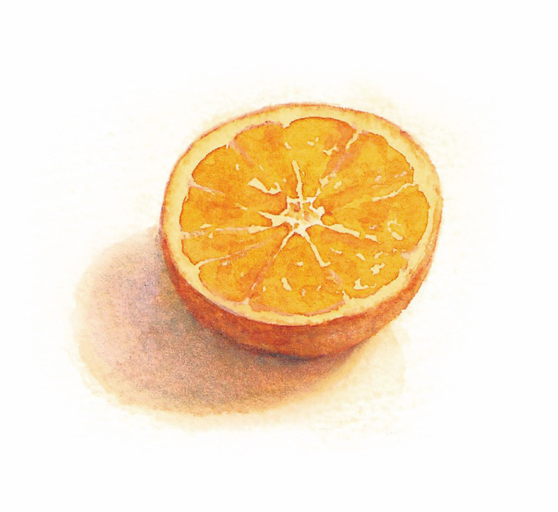 半分に切ったオレンジ Orange cut in half (9 x 8.5 cm)