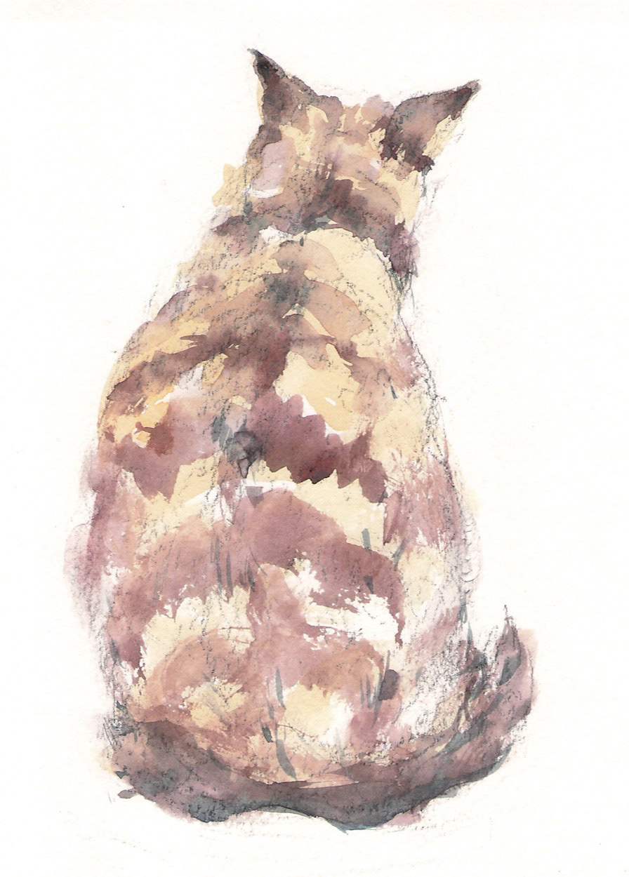 ねこの背中