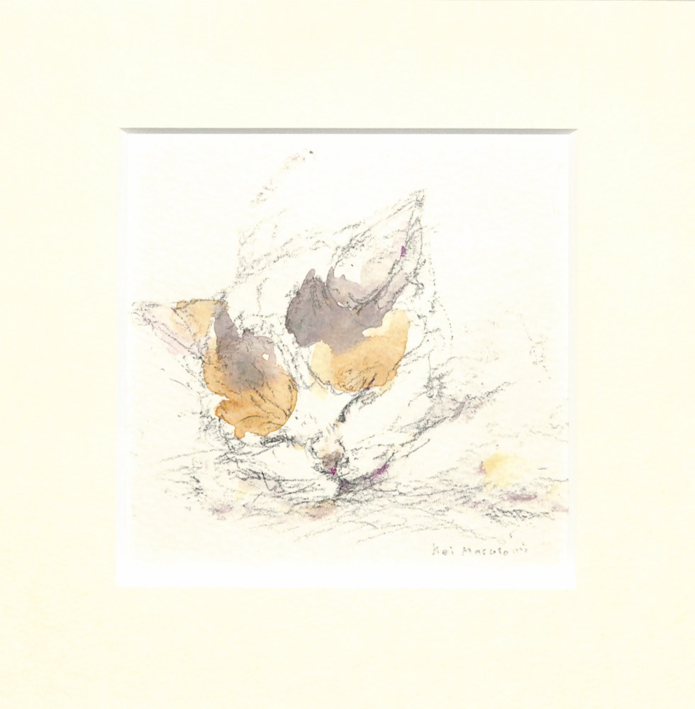 41 ねむる三毛のねこ 20角 (200 x 200) ¥7,500