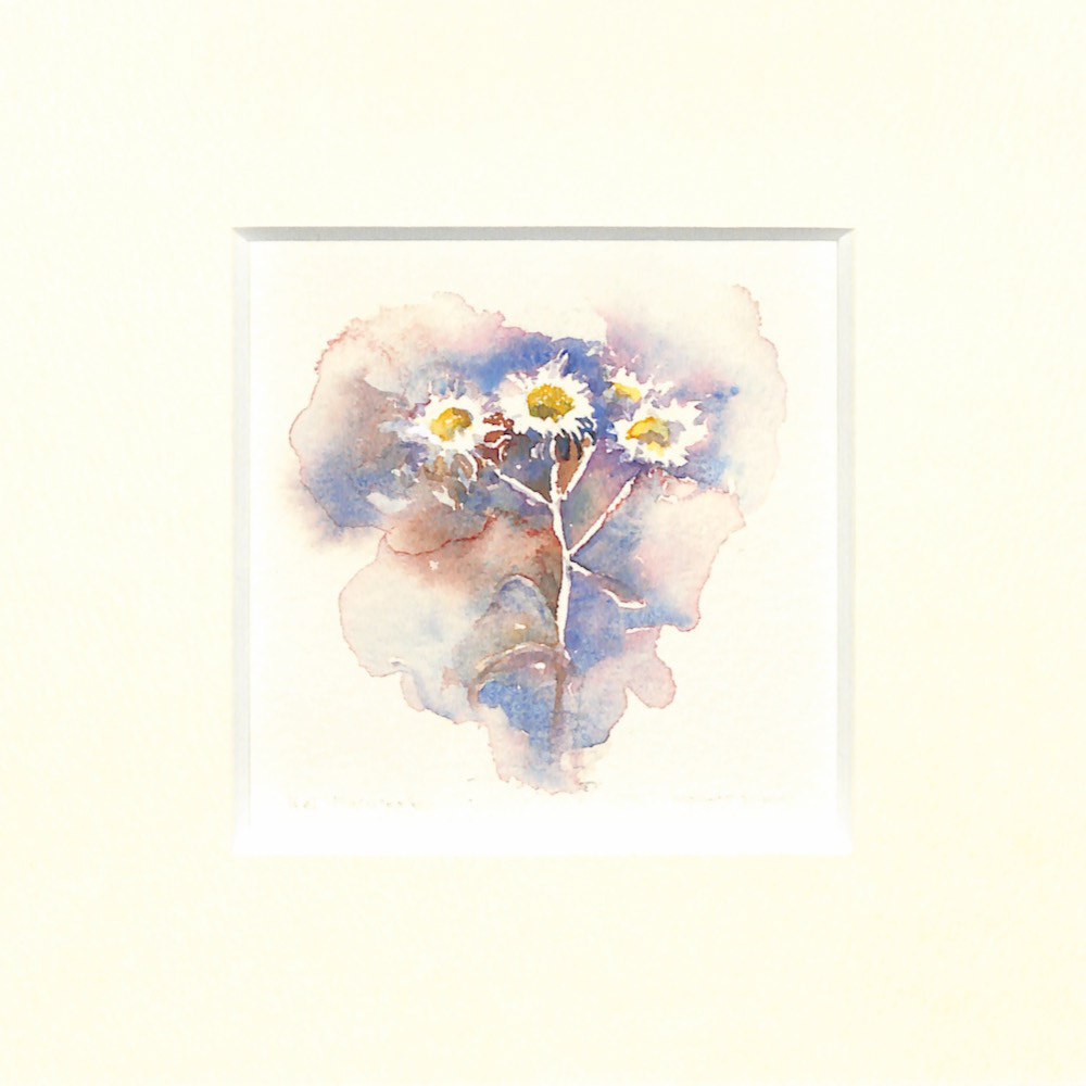 50 ハルシオンの花 15角 (150x150) ¥6,000