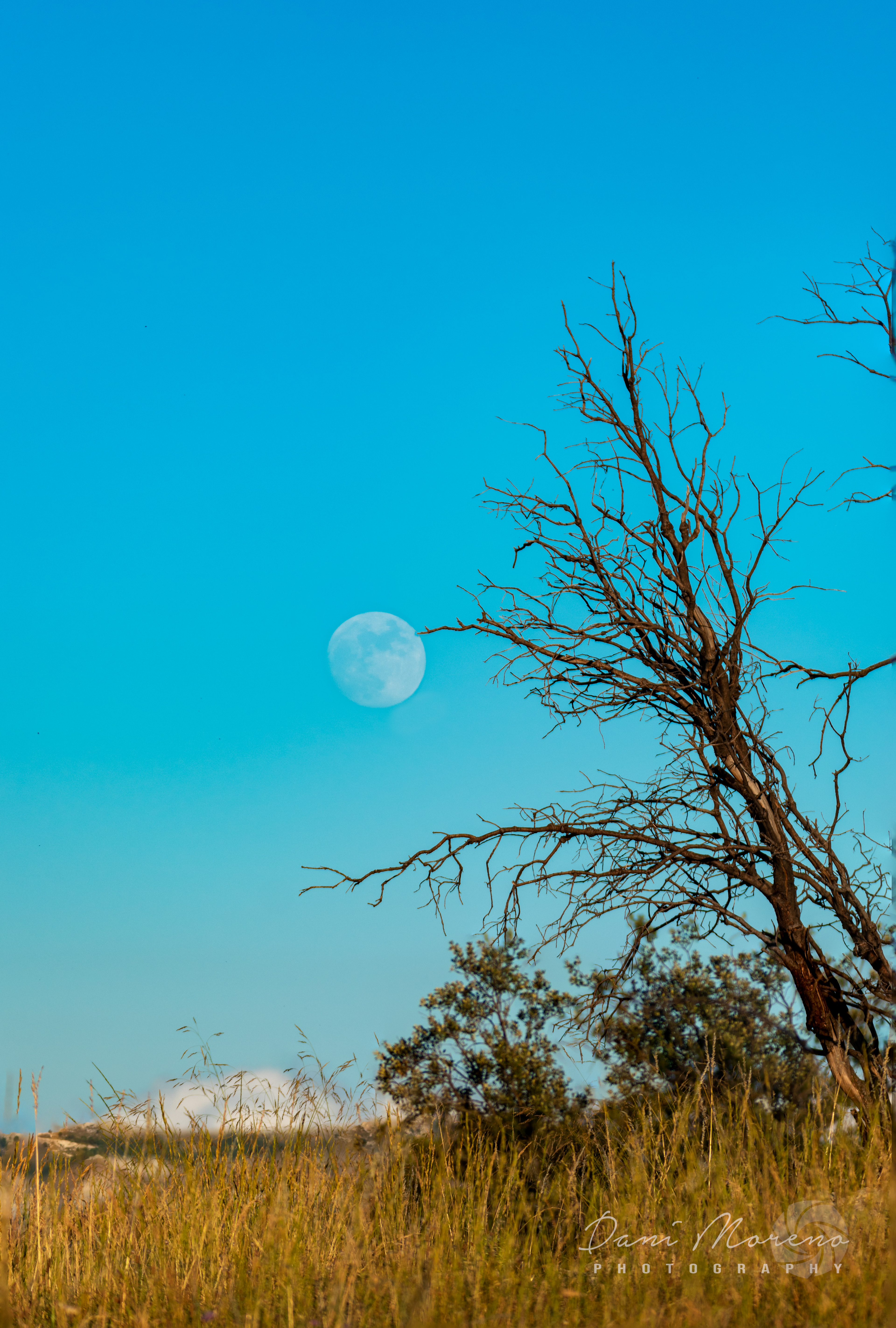 LUNA LLENA DESDE EL CAMPILLO