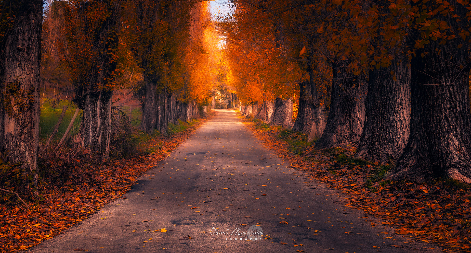 Otoño en Rio Madera