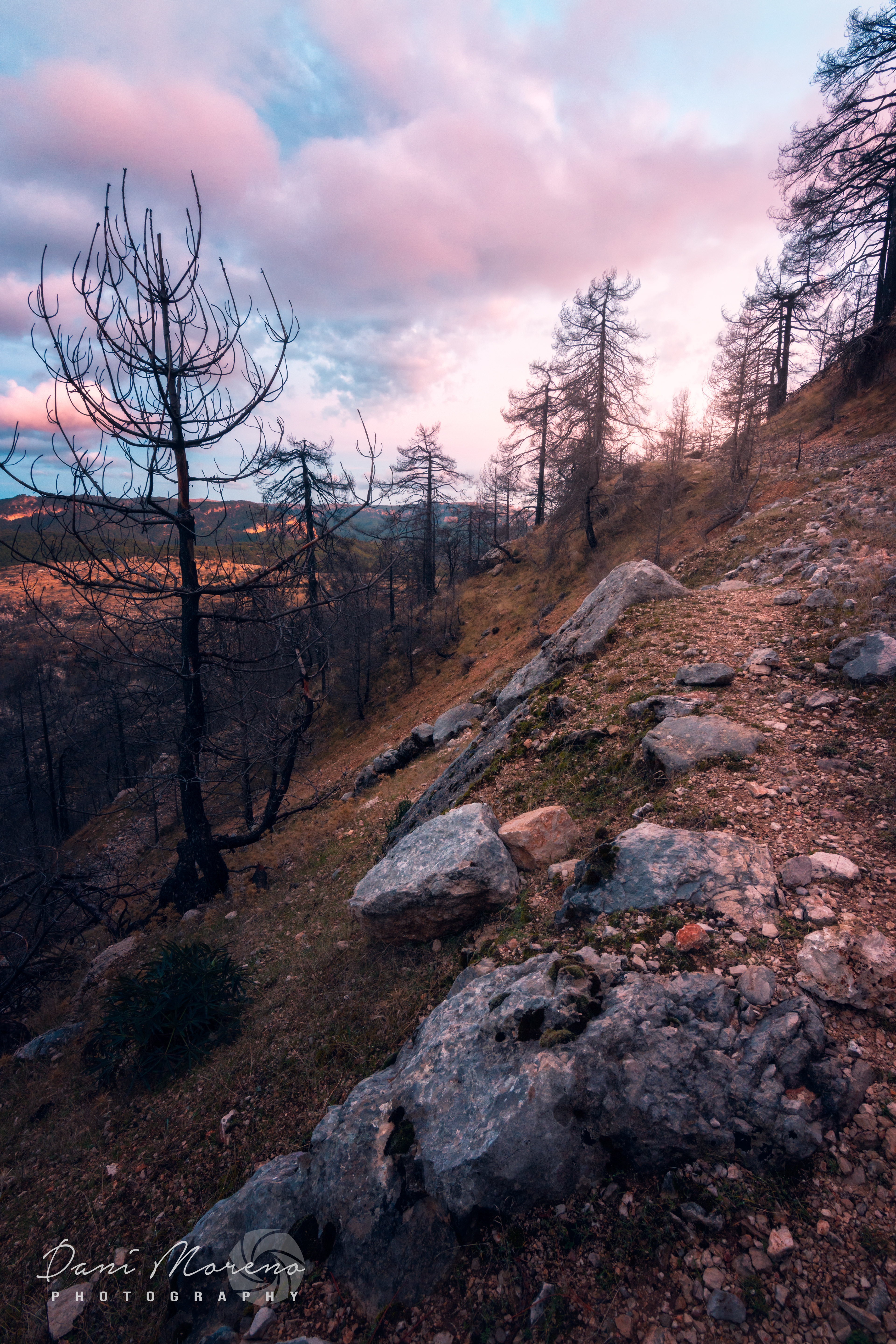 MAJO DE LOS CARNEROS