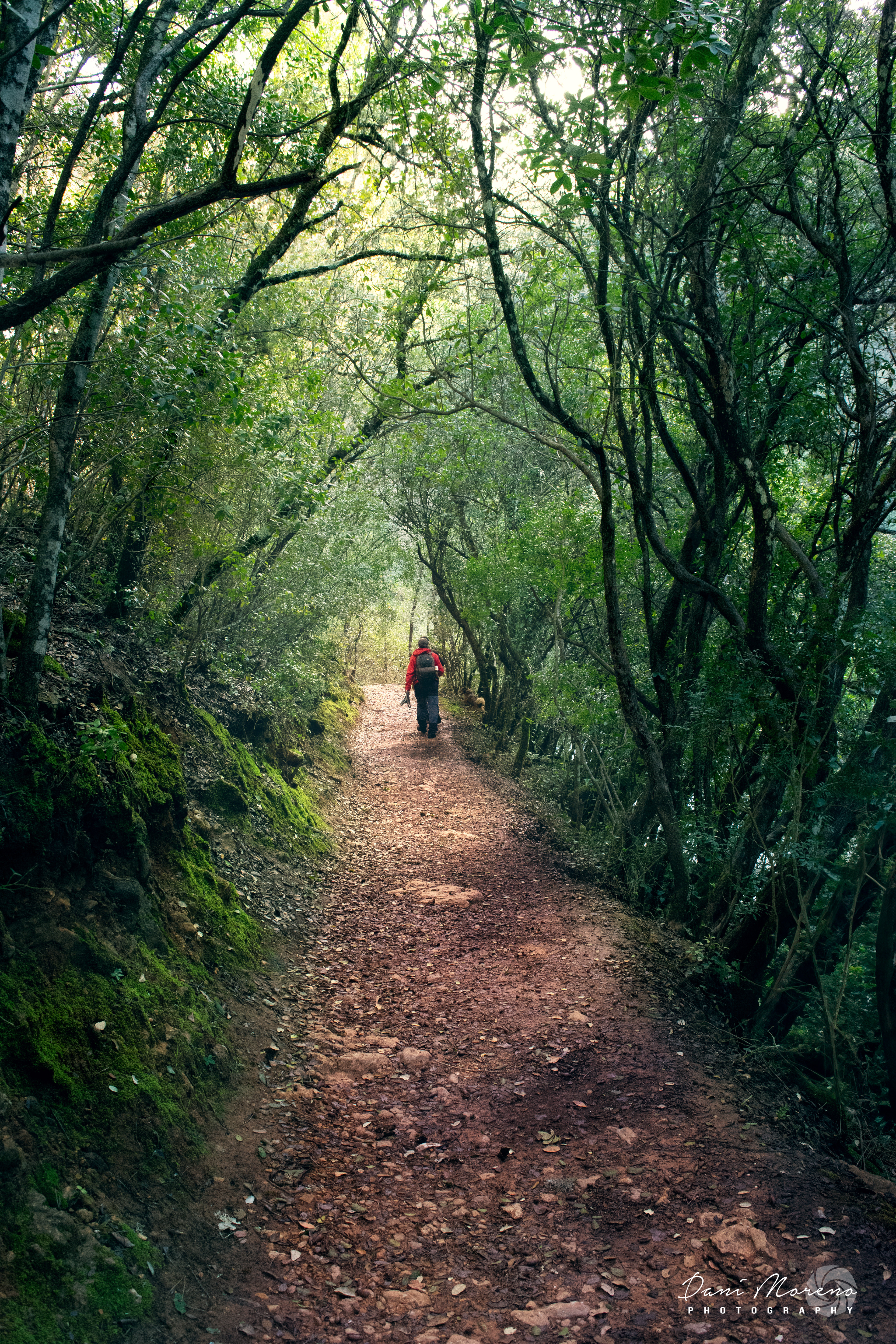 Cueva magina, Borosa