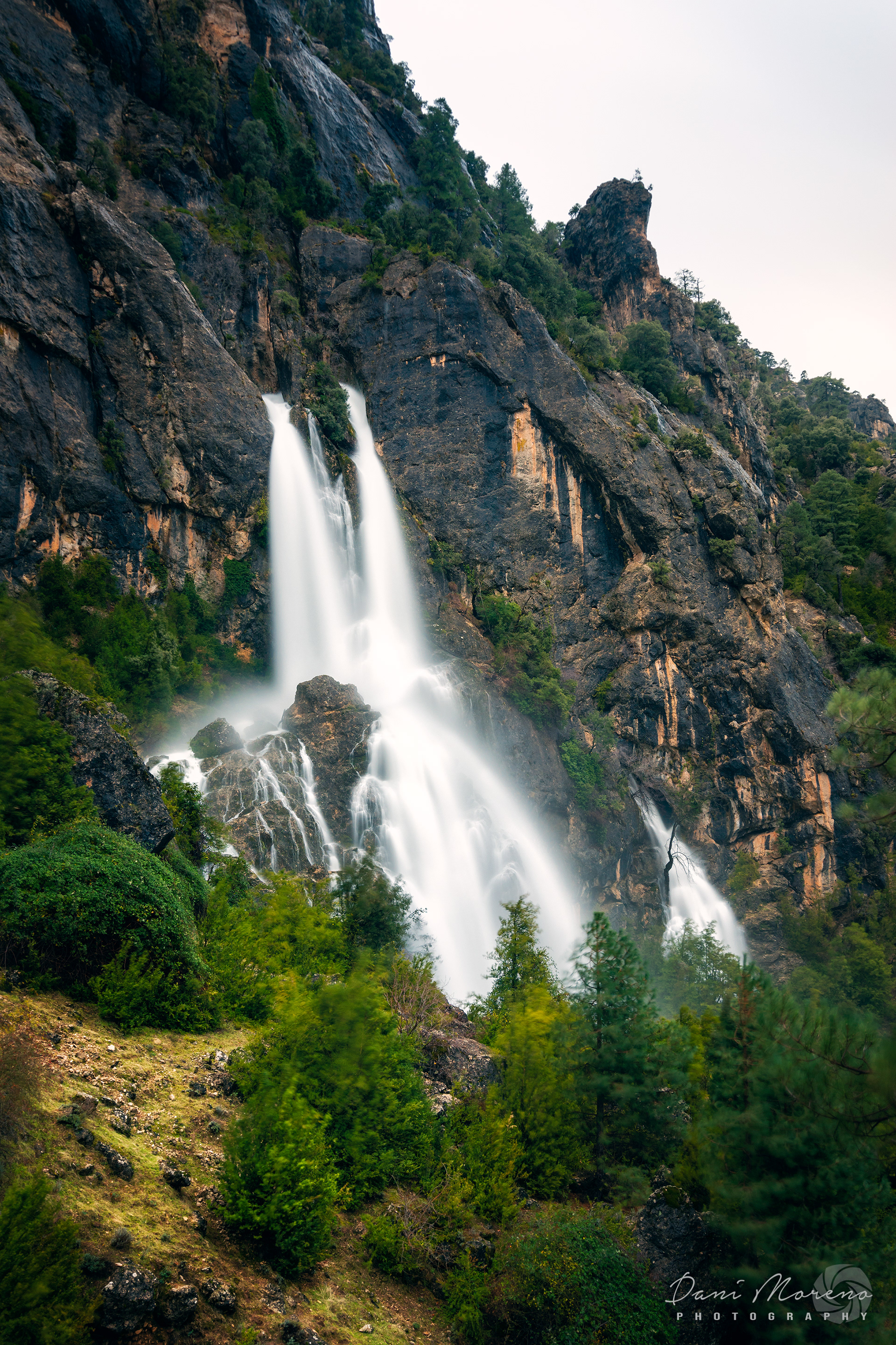 NACIMIENTO AGUAS MULAS (LOS MELLIZOS)