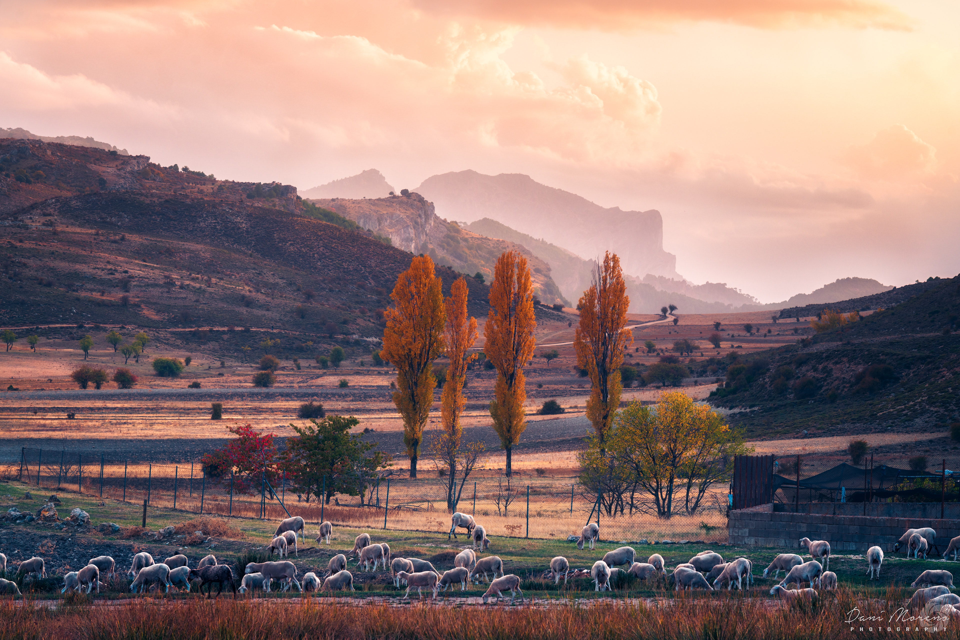 OTOÑO EN SANTIAGO-PONTONES