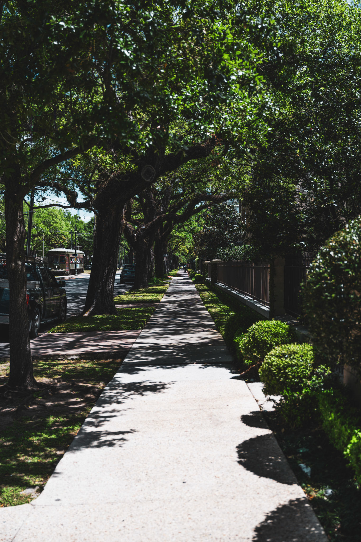 A Quiet Walk