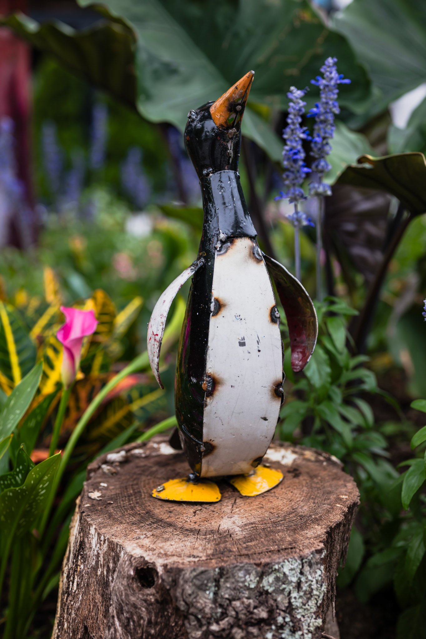 The Penguin
