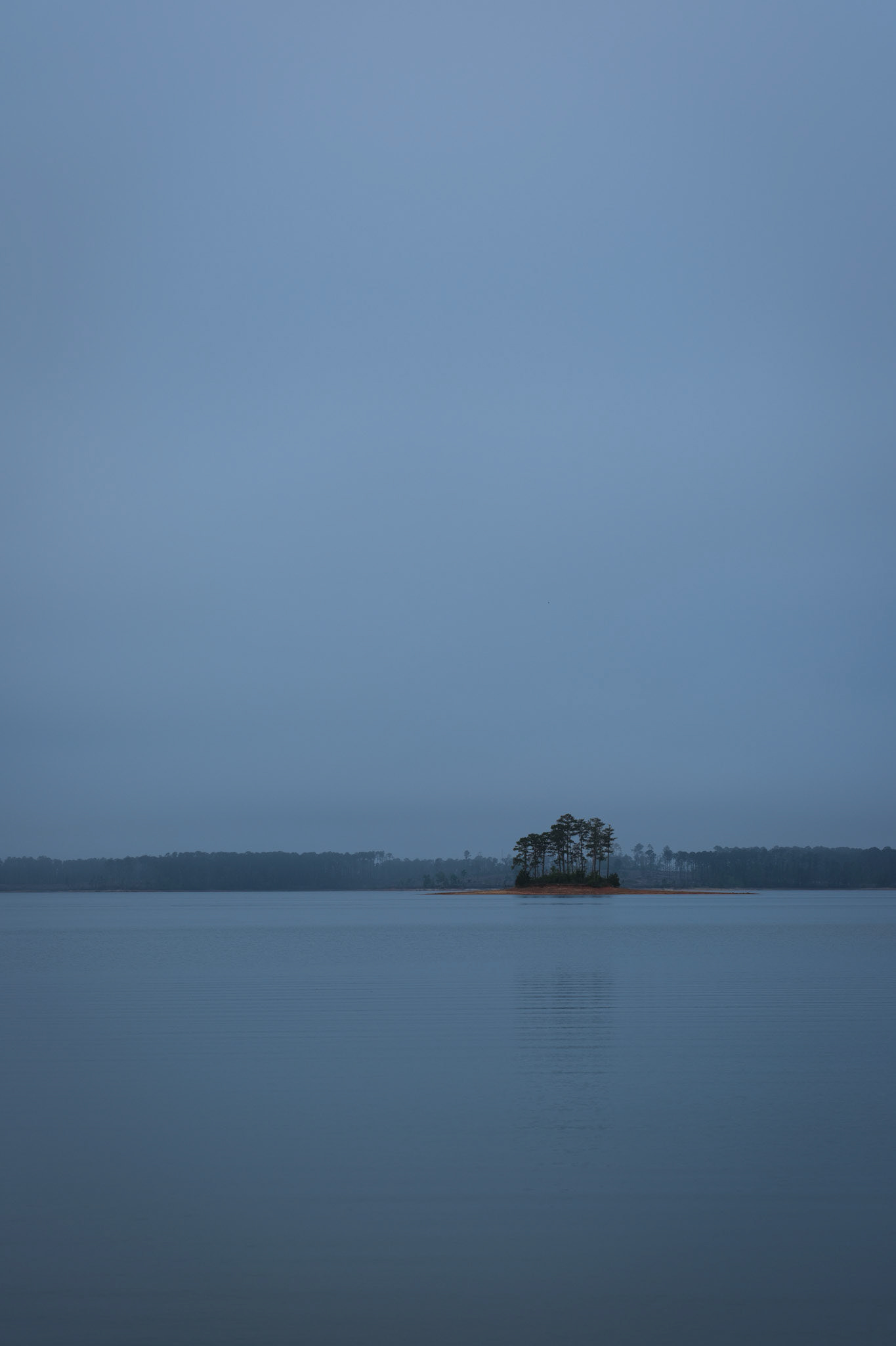 The Island